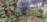 A lush garden features a variety of plants including a large tree with wide leaves, several shrubs, and colorful flowers. A clay planter filled with firewood is placed on a stone pedestal. The area is enclosed by a wall, adding an element of privacy to this serene outdoor space.