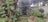 A lush garden features a variety of plants including a large tree with wide leaves, several shrubs, and colorful flowers. A clay planter filled with firewood is placed on a stone pedestal. The area is enclosed by a wall, adding an element of privacy to this serene outdoor space.