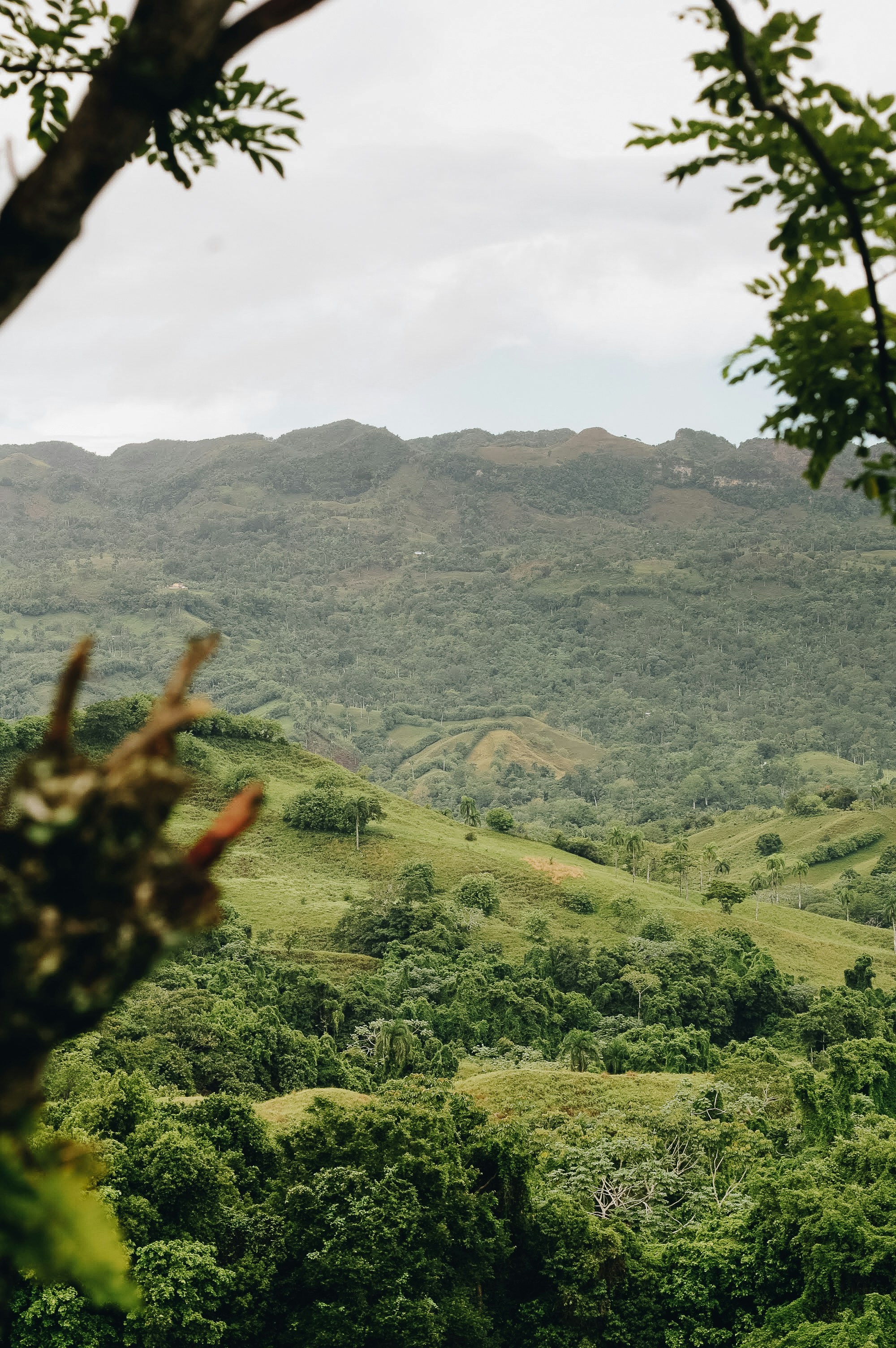 Photo by cristejeda_ph