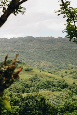 Photo of a lush green Basque landscape with a subtle emerald overlay symbolizing nature and protection.