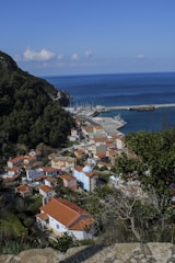 Coastal Sardinian village with traditional houses and clear blue sea.