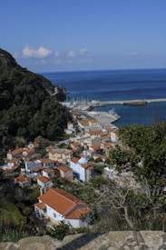 A scenic coastal village with clusters of houses featuring red-tiled roofs nestled among lush greenery. The backdrop showcases a serene blue sea under a clear sky, along with a small marina populated with boats.