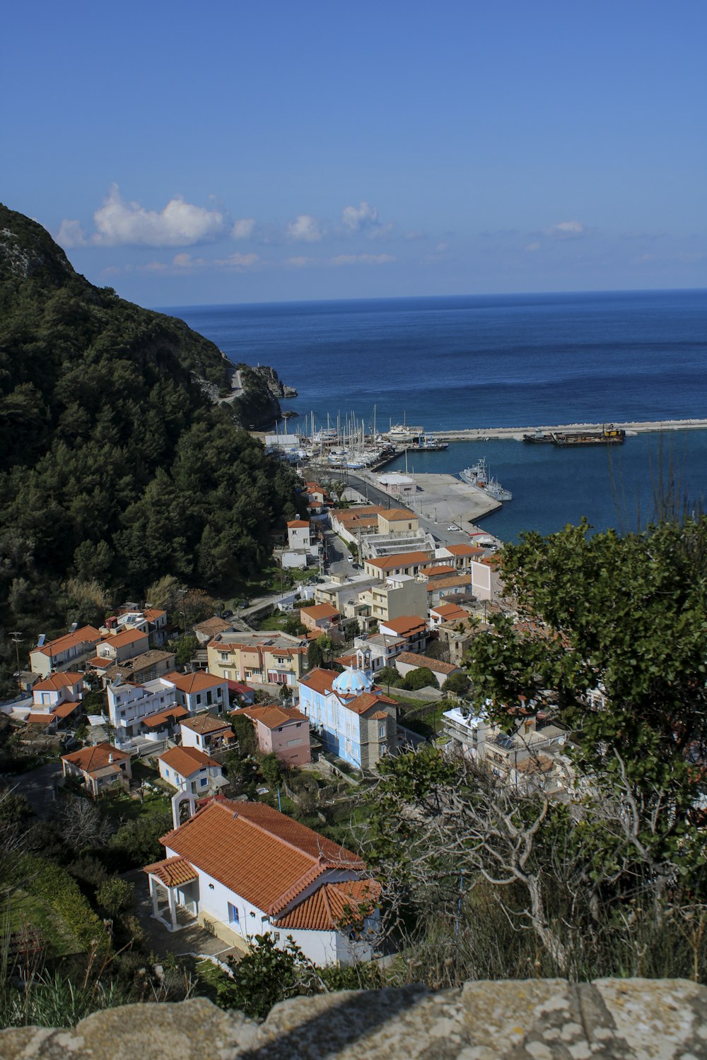 a view of a small town by the water