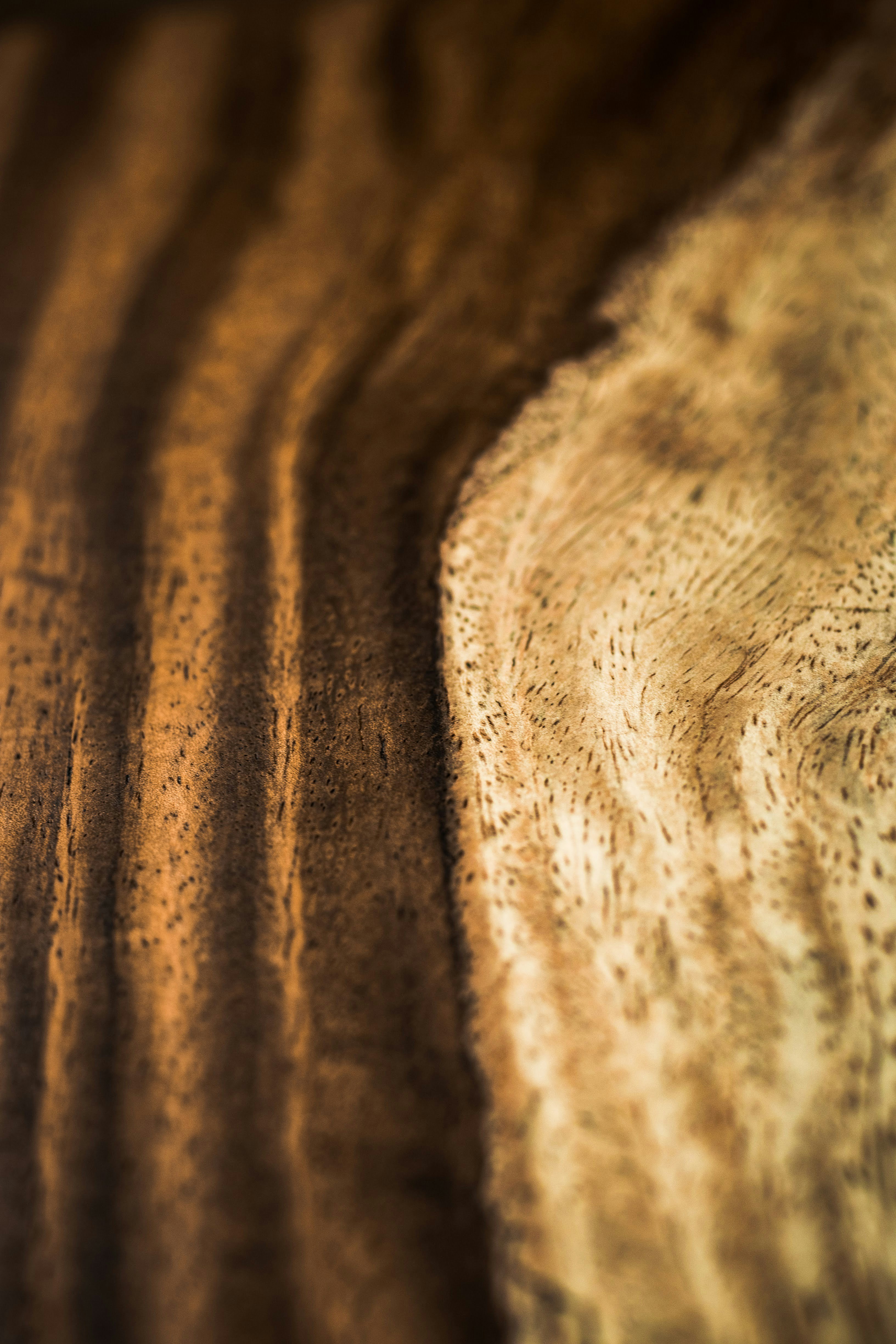 Photo by brice_cooper18