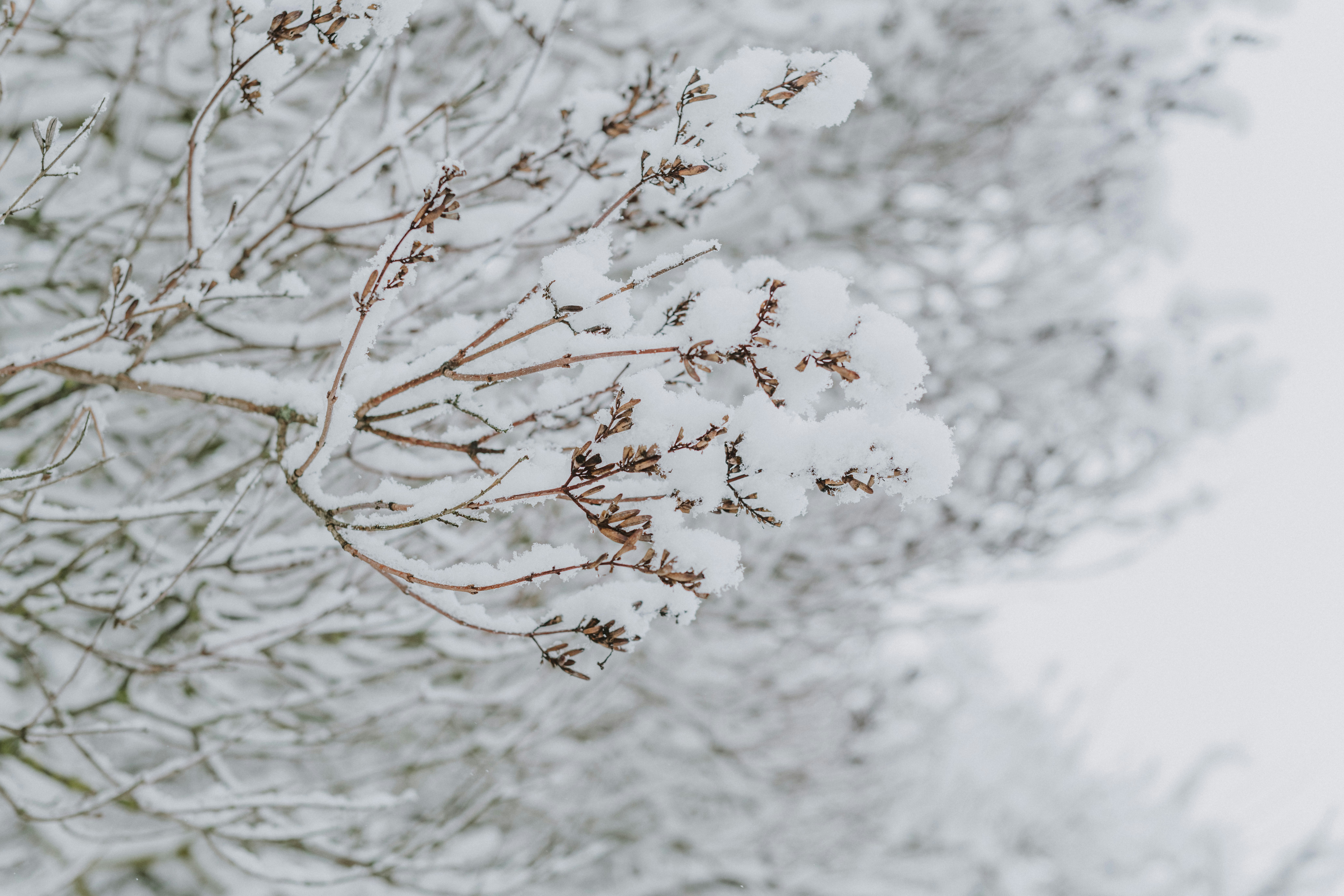 Photo by anitaaustvika