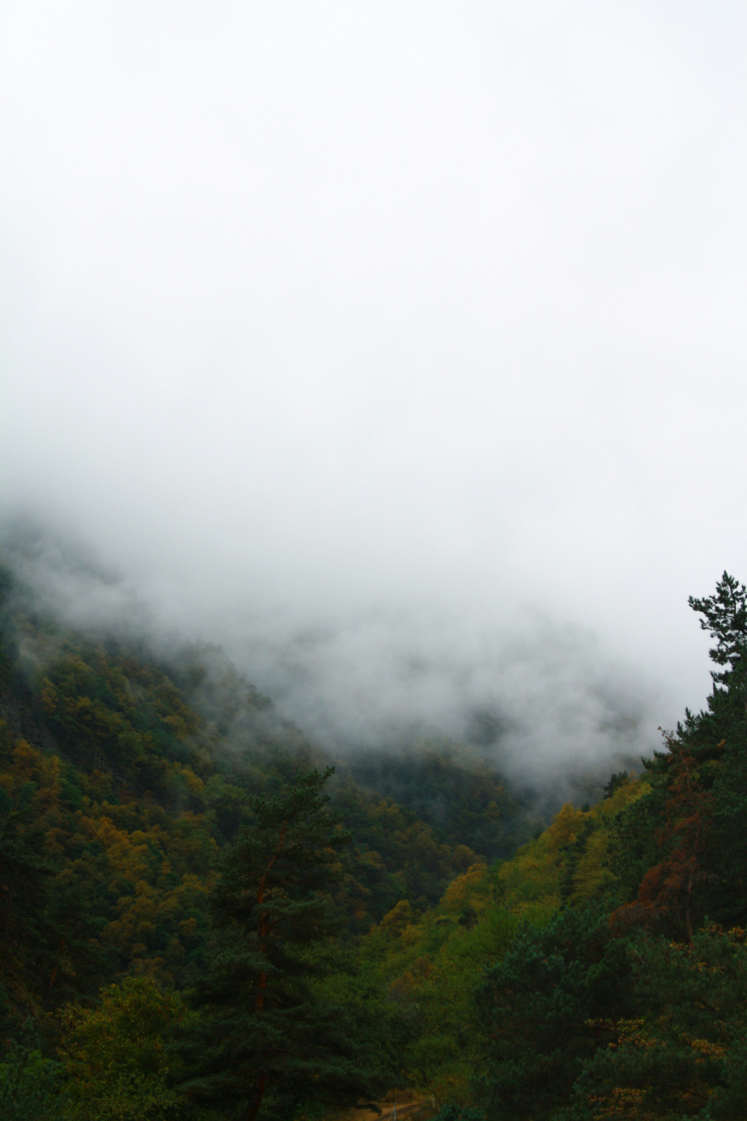 Photo by reggie_tmin