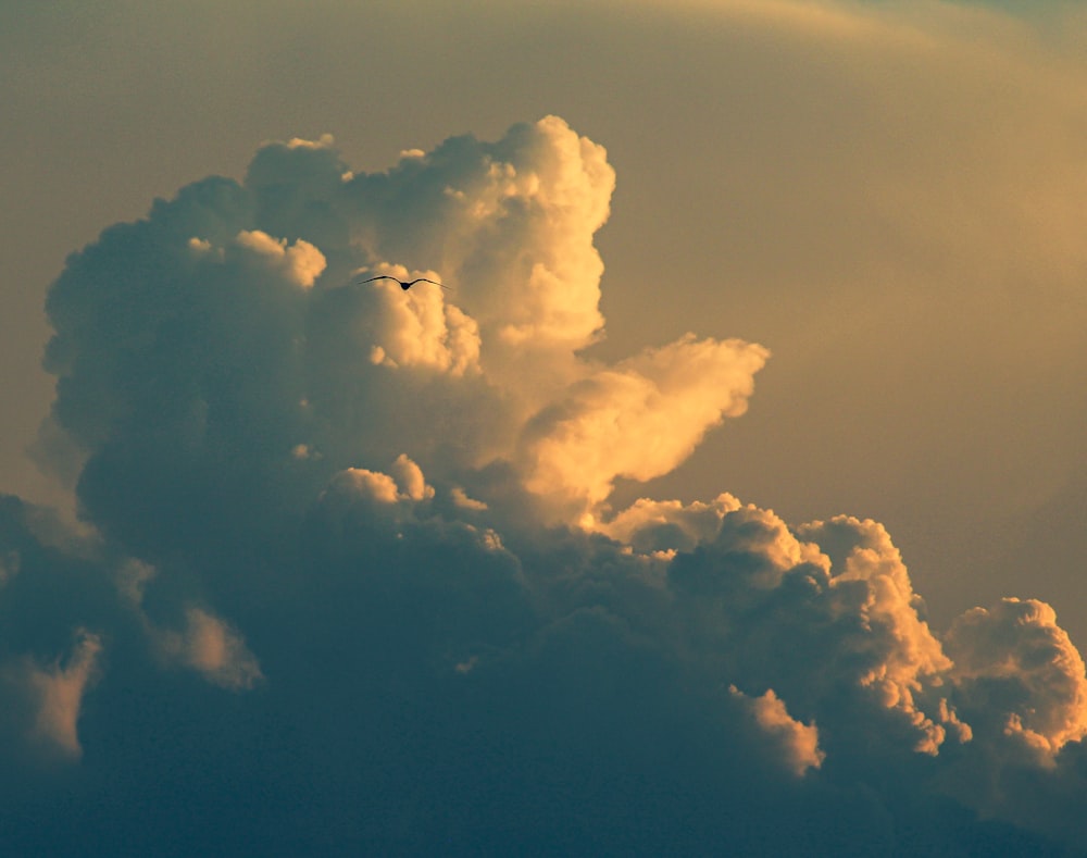 a bird flying through a cloud filled sky