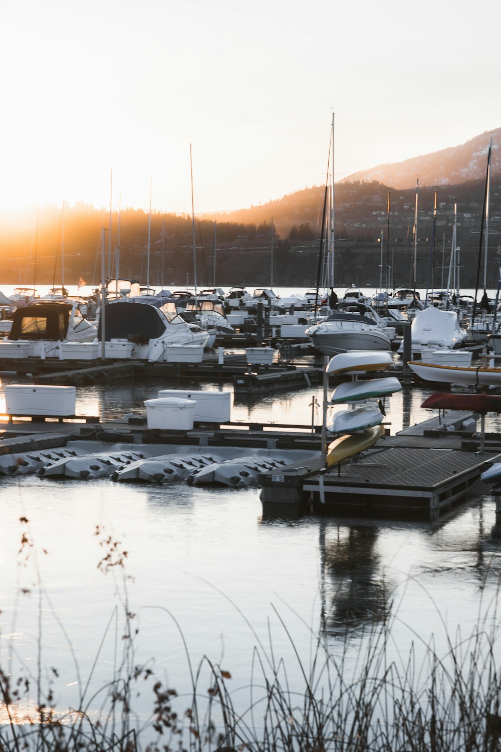 un tas de bateaux qui sont dans l’eau