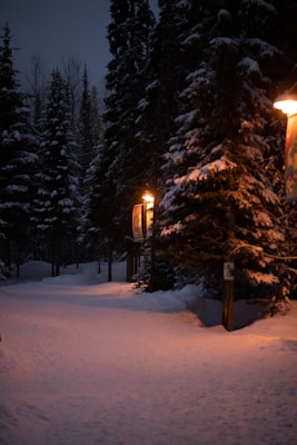Lamplit snowy path through trees at Sun Peaks