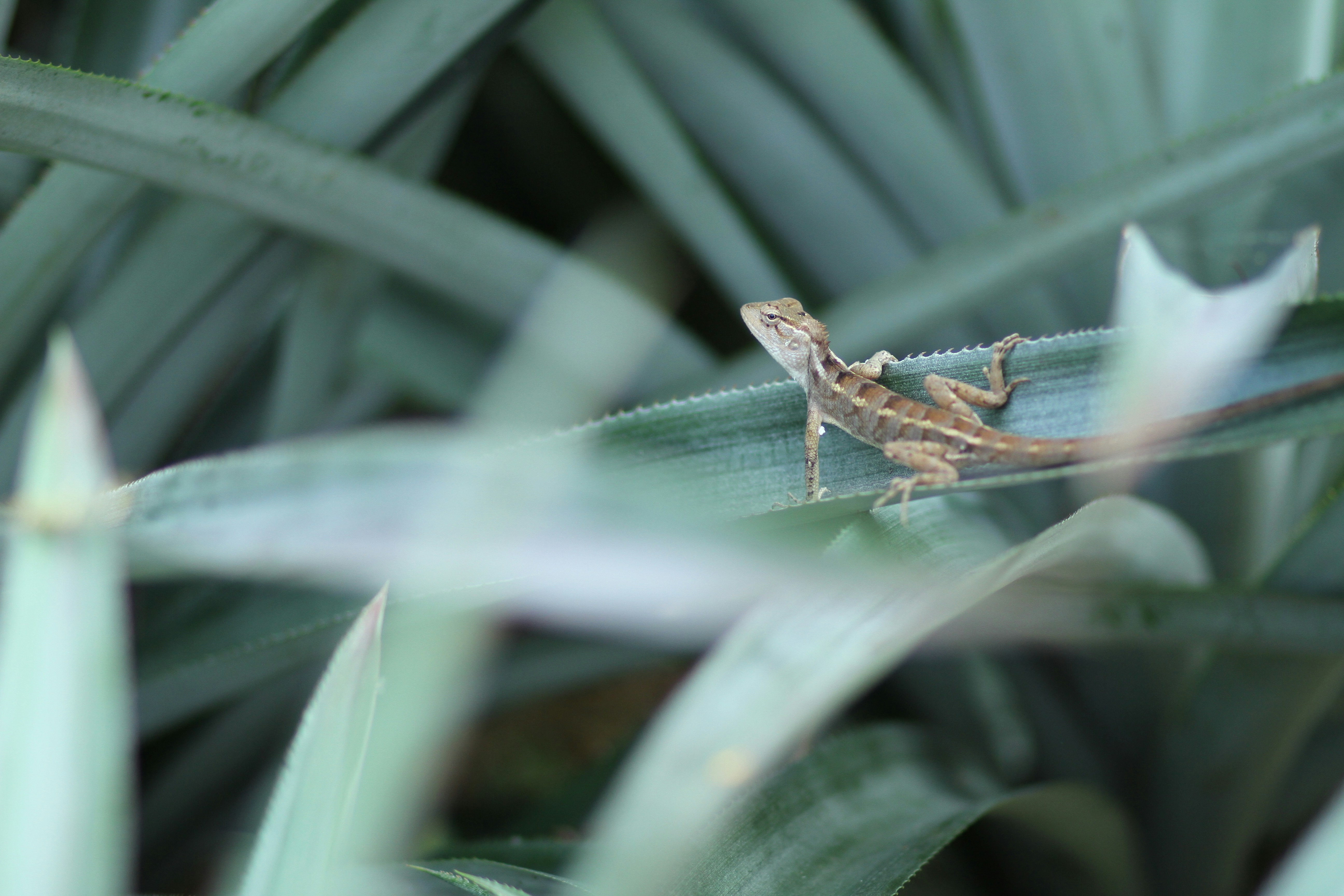 Photo by balu_22_26_