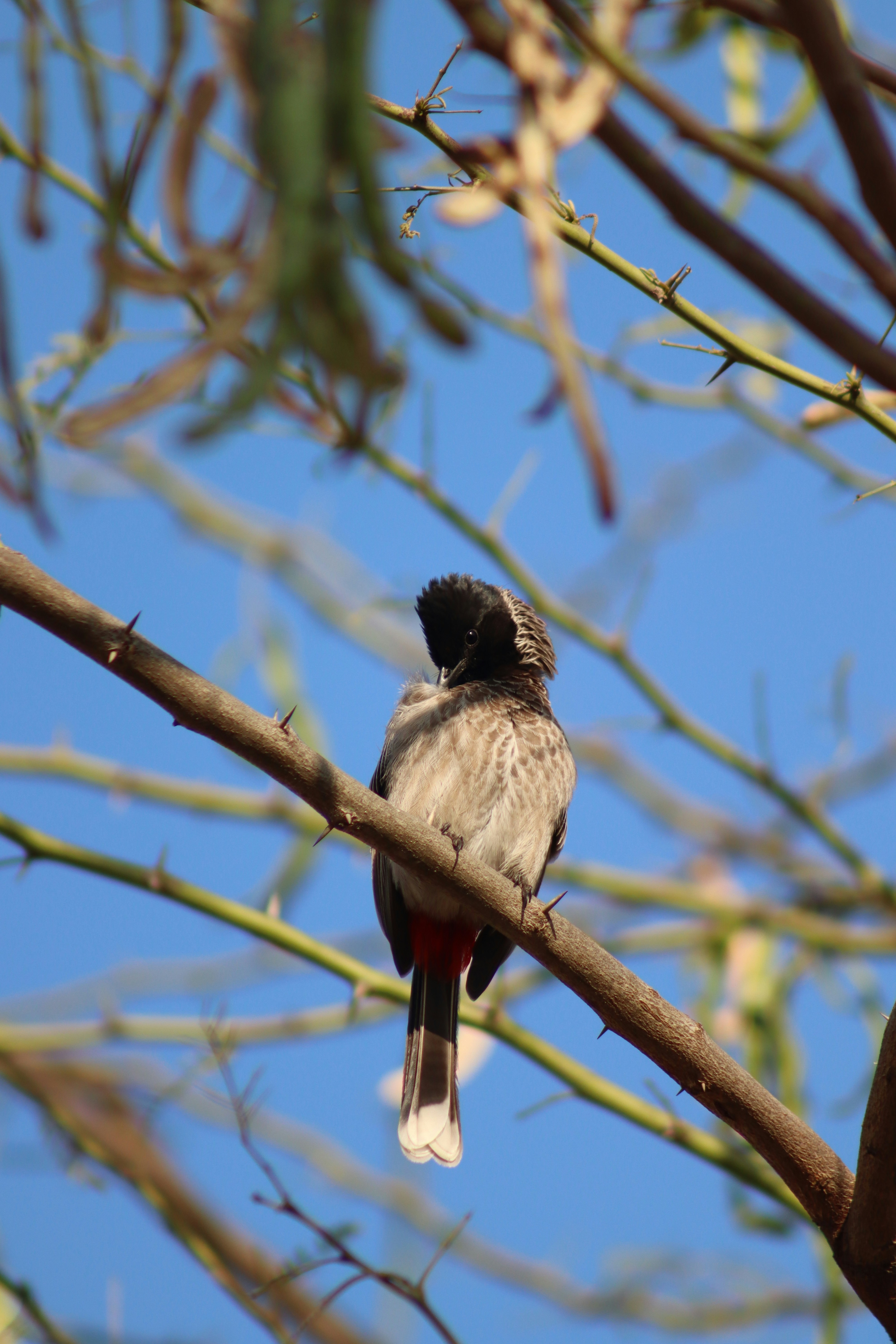 Photo by drphotographer152