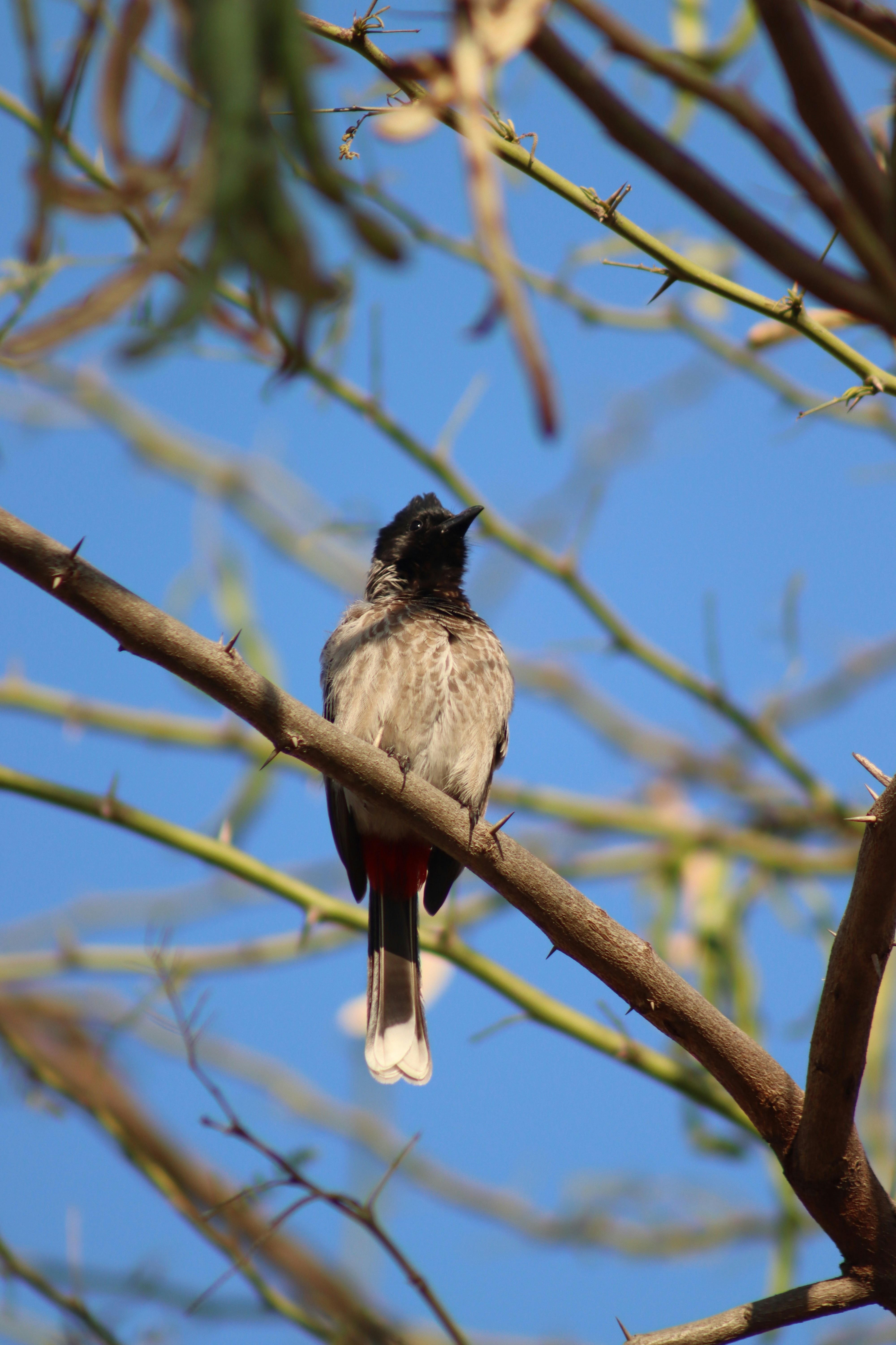 Photo by drphotographer152