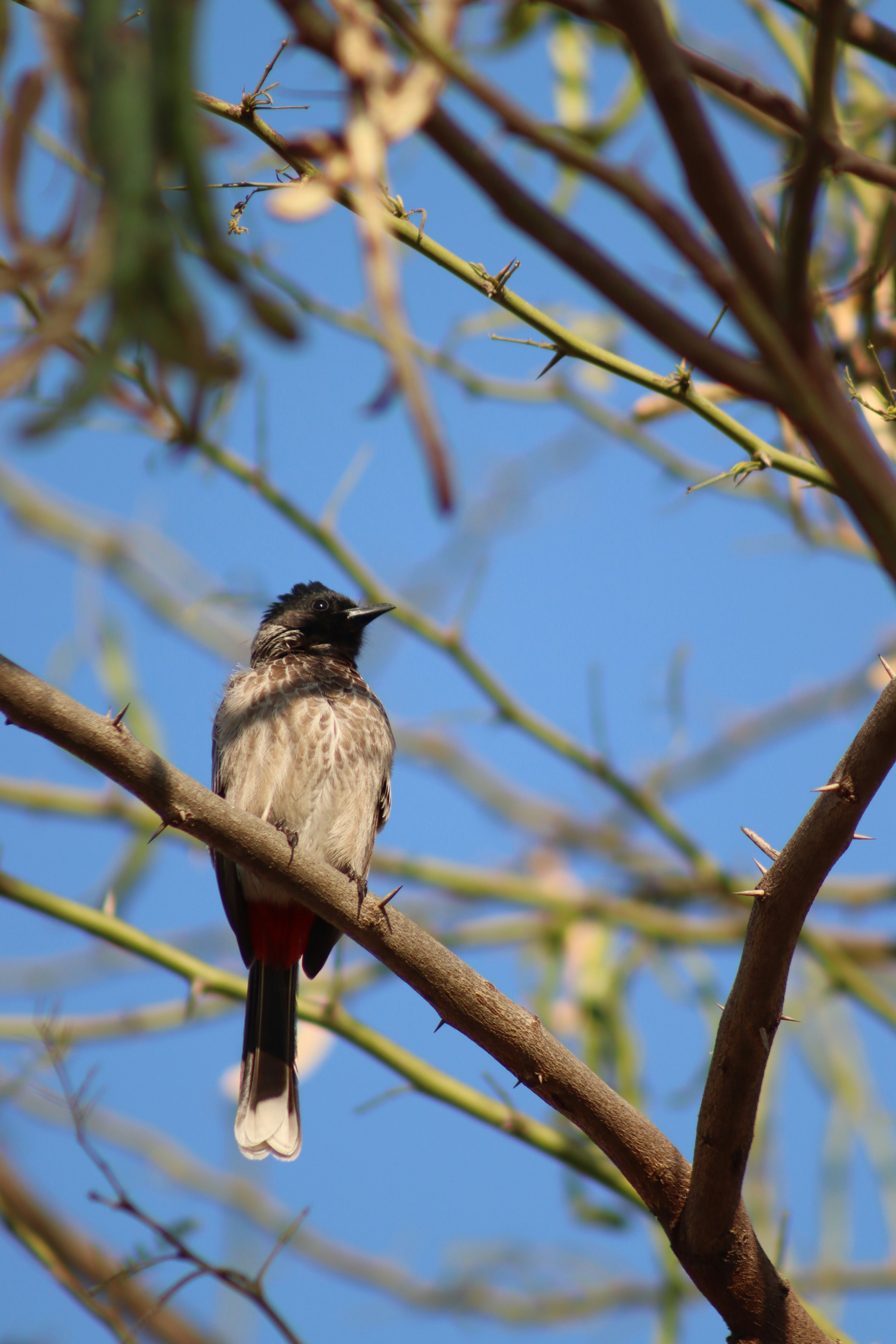 Photo by drphotographer152