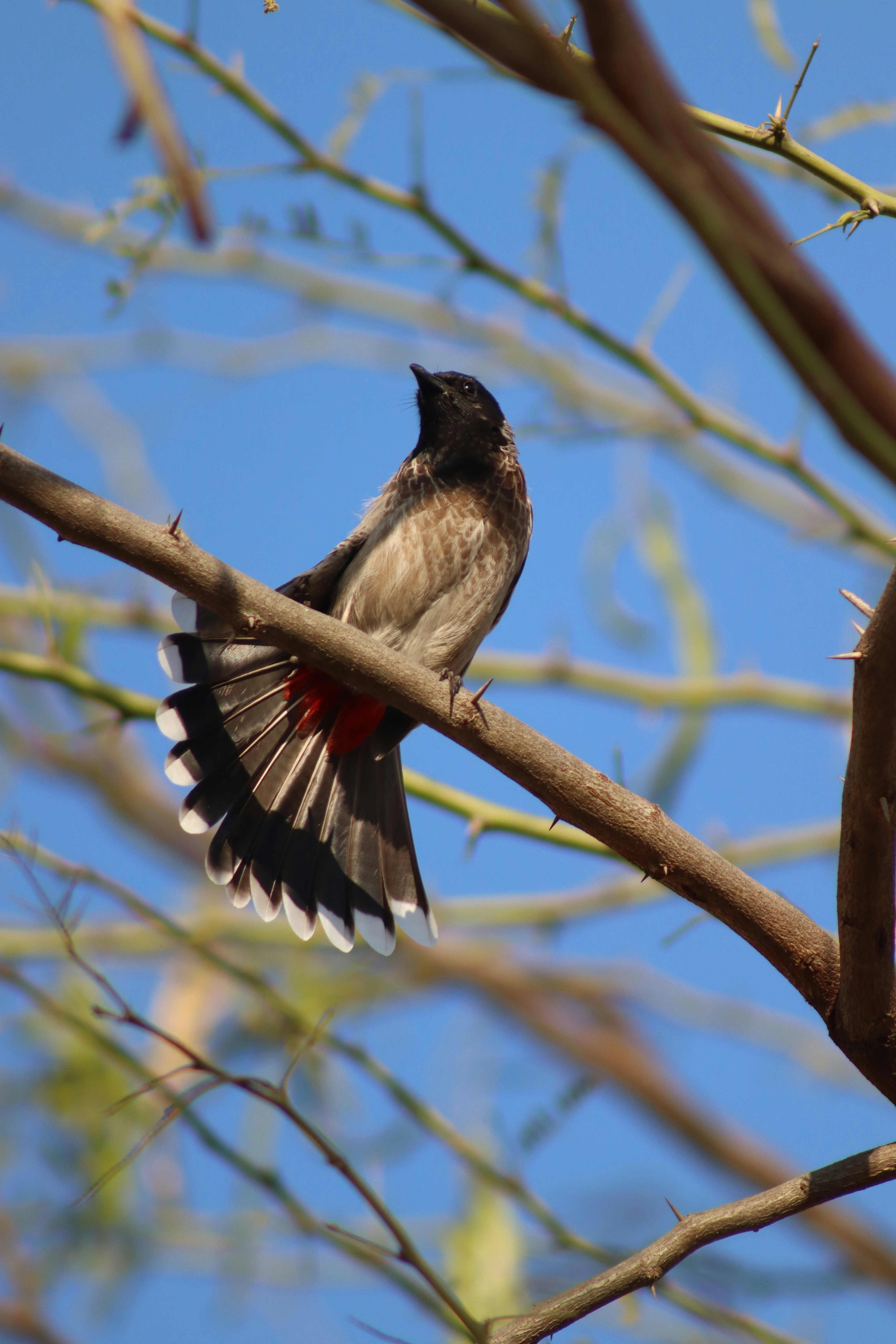 Photo by drphotographer152