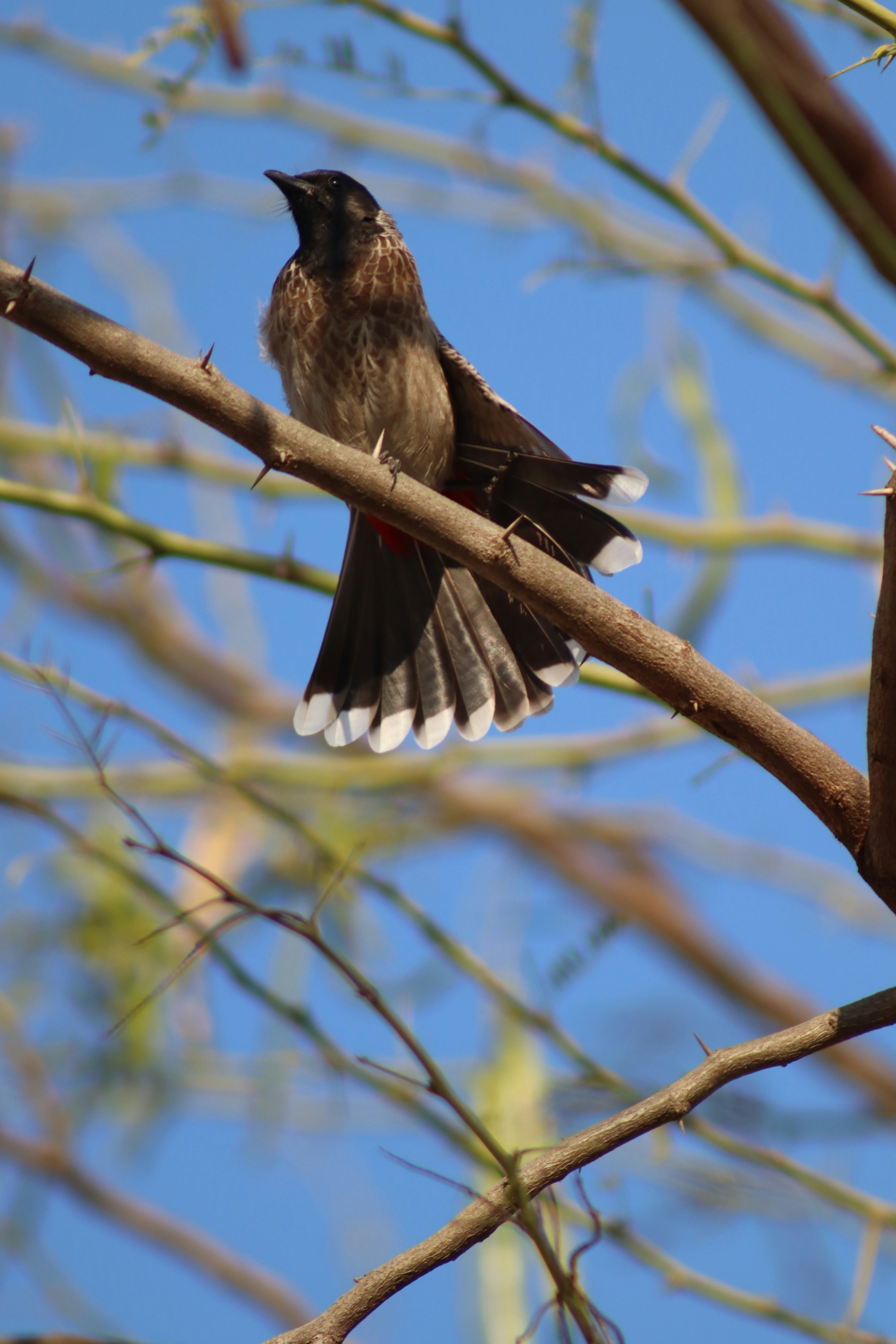 Photo by drphotographer152