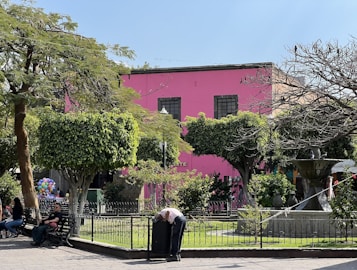 A vibrant pink building stands behind a small green park with benches and a fountain. The park is framed by lush trees, some of which are bare. People are sitting on benches, and a person is seen near a trash can. Balloons add a colorful touch to the scene, suggesting a festive atmosphere.