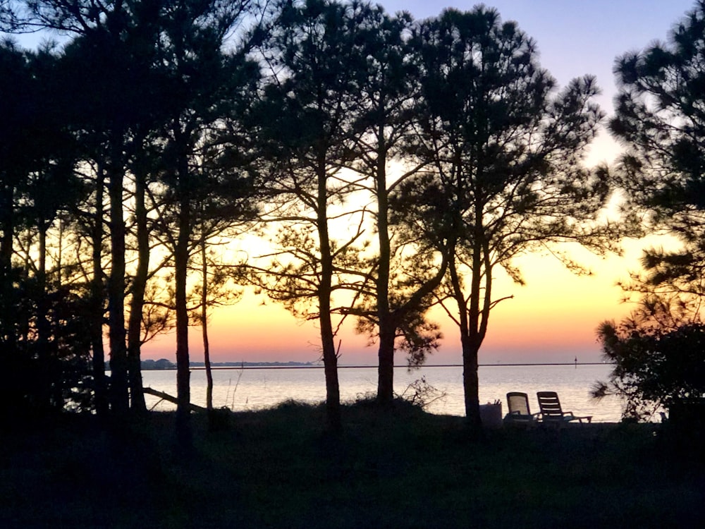 the sun is setting behind some trees by the water