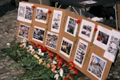A display board is set up with several images and QR codes, each photo depicting scenes of destruction and aid efforts. Red carnations are pinned next to some of the images, and more flowers are laid at the base of the board.
