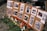 A display board is set up with several images and QR codes, each photo depicting scenes of destruction and aid efforts. Red carnations are pinned next to some of the images, and more flowers are laid at the base of the board.