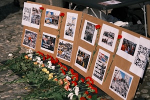 A display board is set up with several images and QR codes, each photo depicting scenes of destruction and aid efforts. Red carnations are pinned next to some of the images, and more flowers are laid at the base of the board.