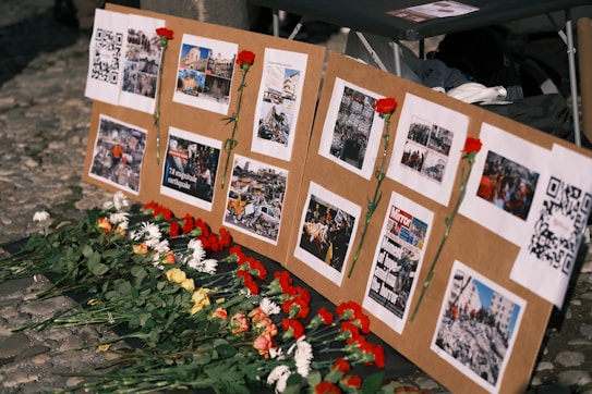 A display board is set up with several images and QR codes, each photo depicting scenes of destruction and aid efforts. Red carnations are pinned next to some of the images, and more flowers are laid at the base of the board.