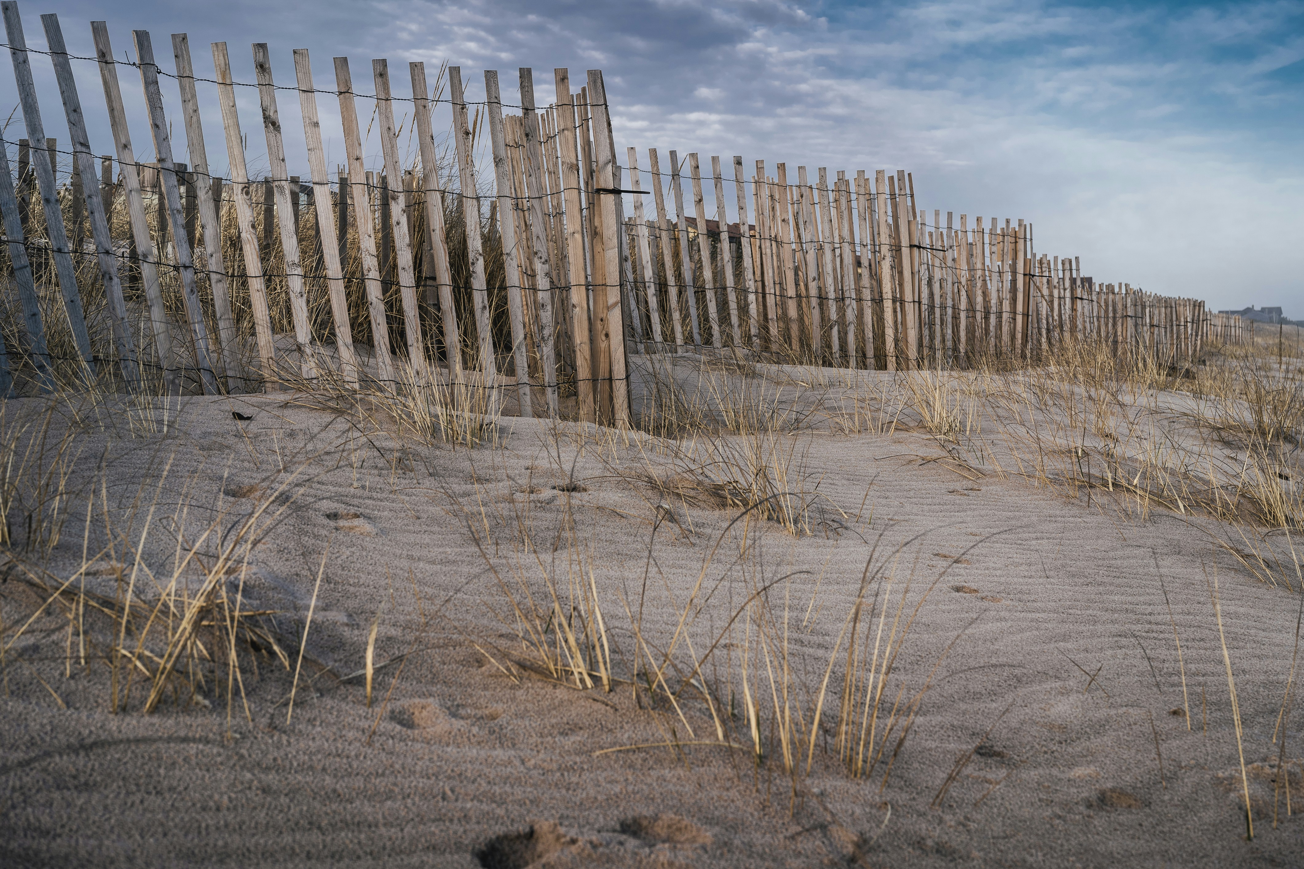 Photo by earl_plannerzone