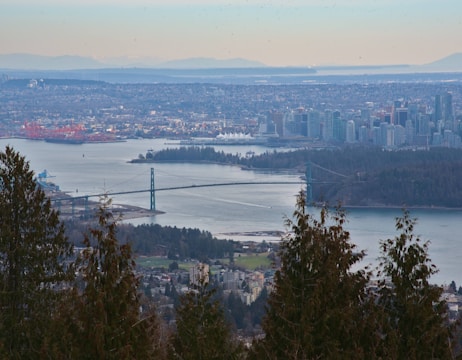 A panoramic cityscape featuring a large body of water with a suspension bridge crossing it. In the foreground, evergreen trees frame the view, while in the background, a densely populated city with high-rise buildings spans across the horizon. Industrial areas with red cranes are visible to the left, alongside waterfront developments and forested regions.