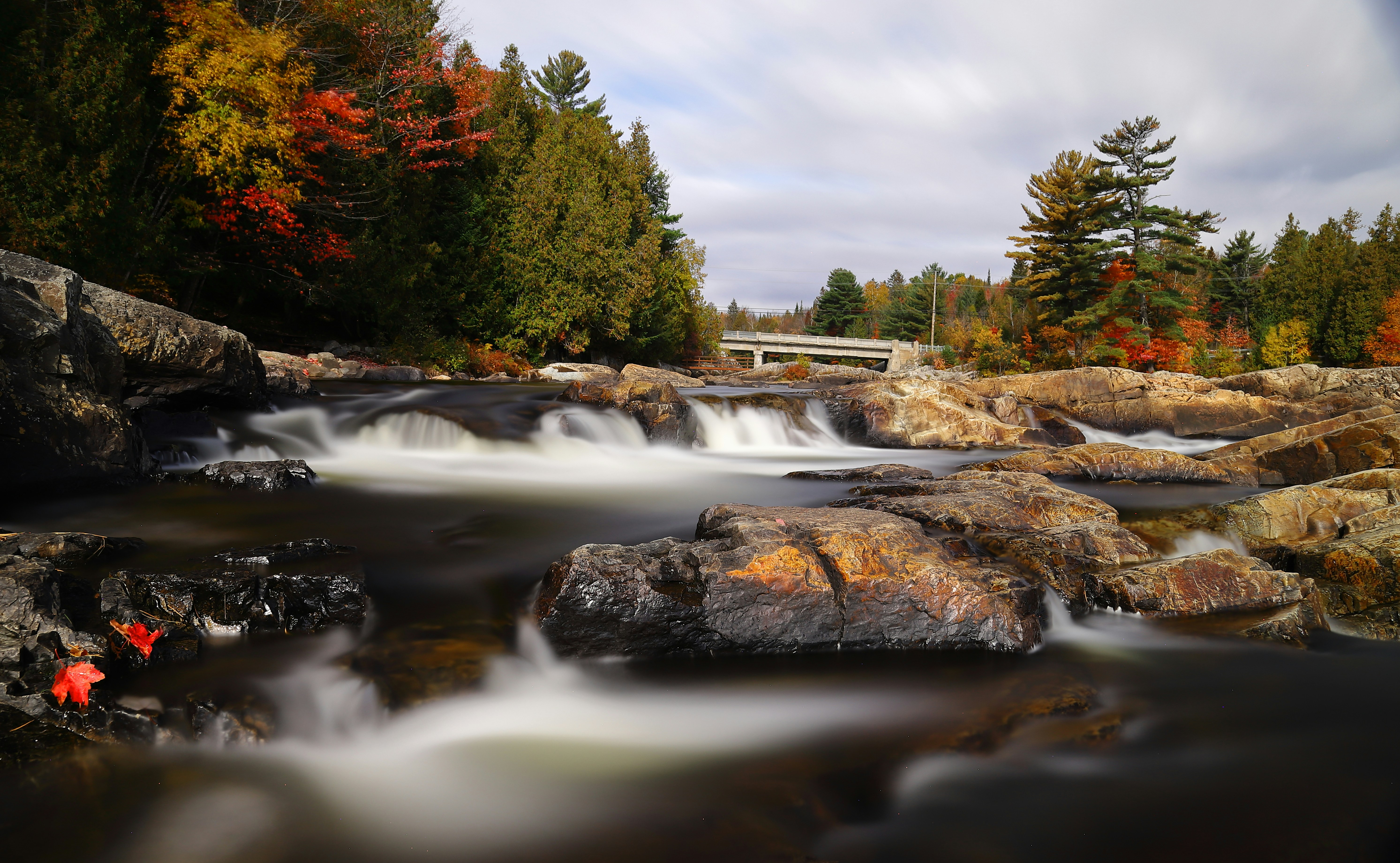 Photo by mezba_fakir