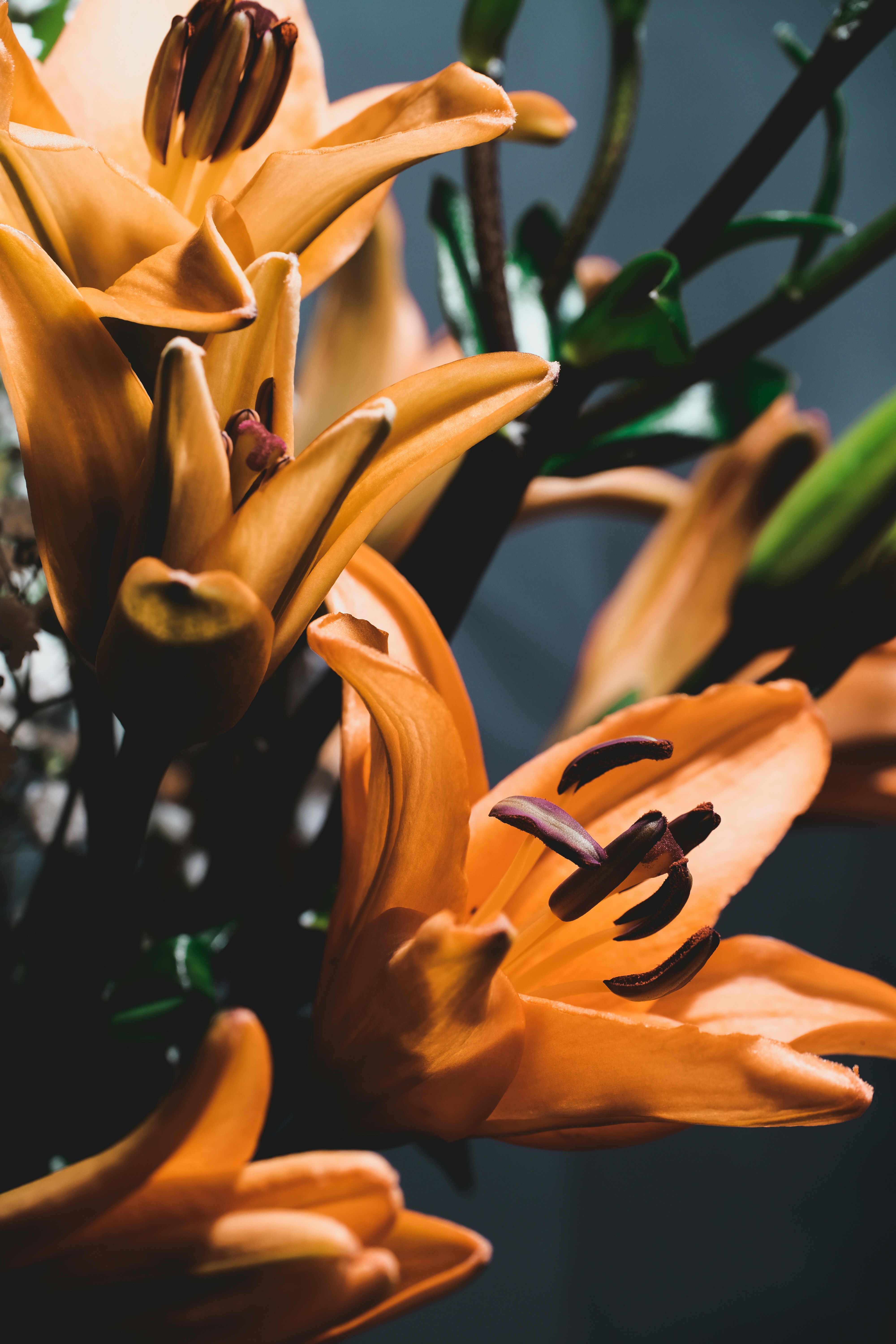 Photo by sznl_dreamr