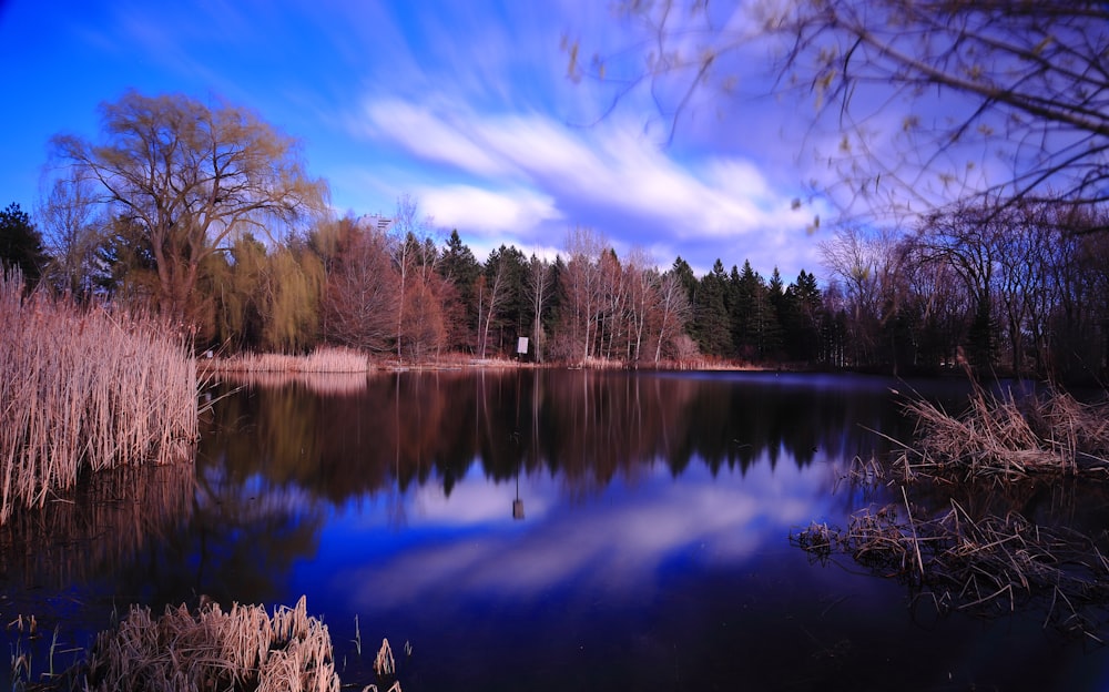 a lake surrounded by trees and a blue sky