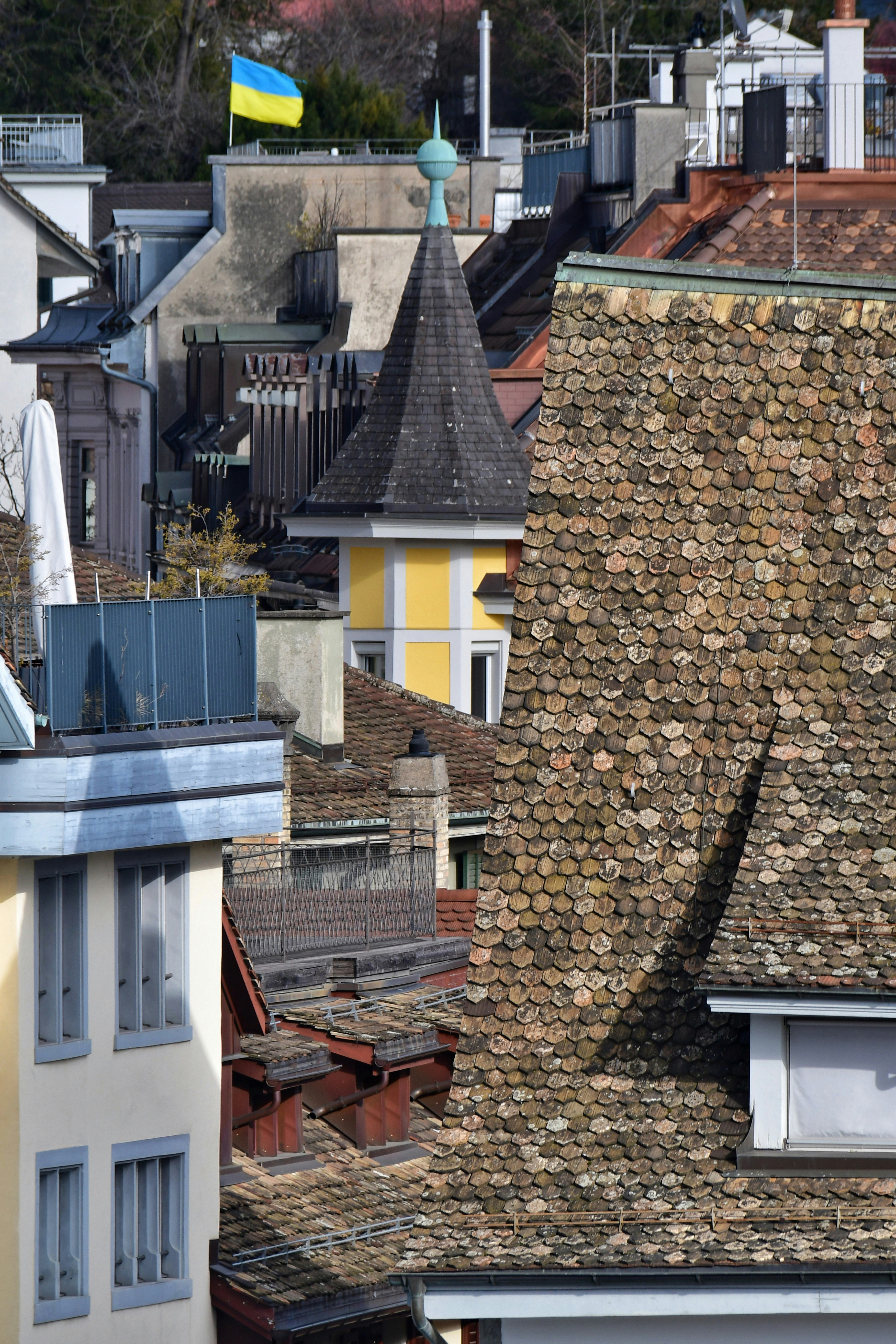 Photo by pedrino5_official