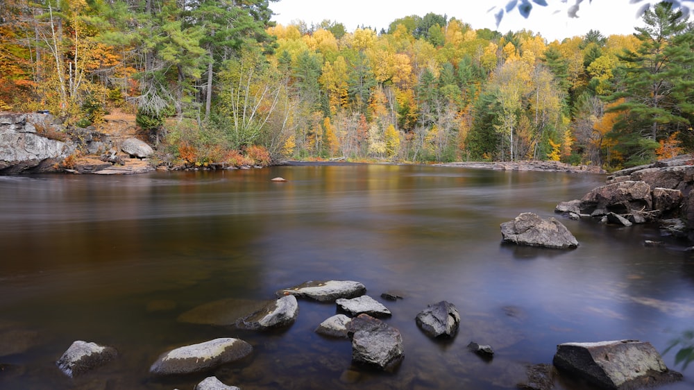 a body of water surrounded by trees and rocks