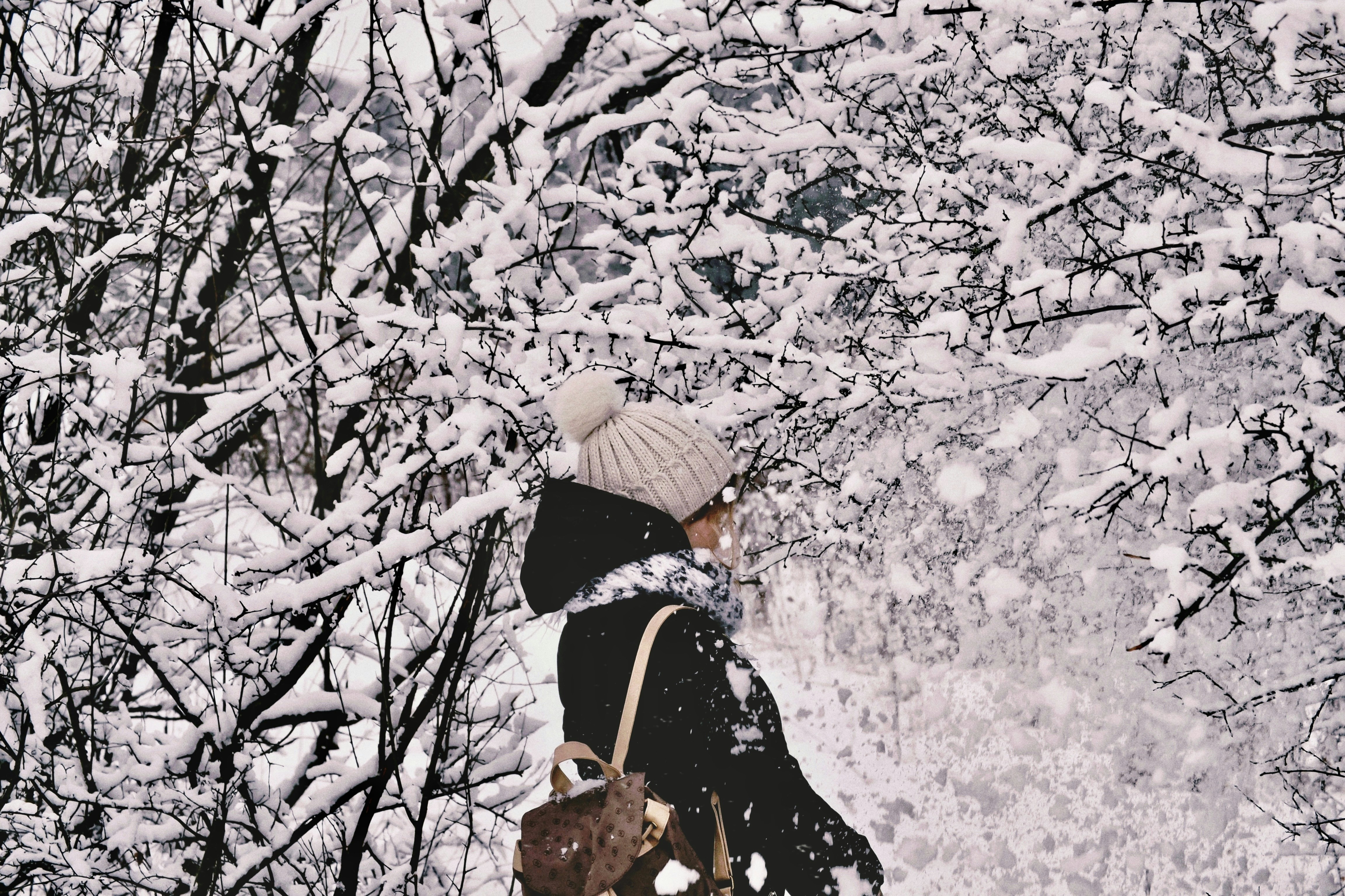 Photo by storage98