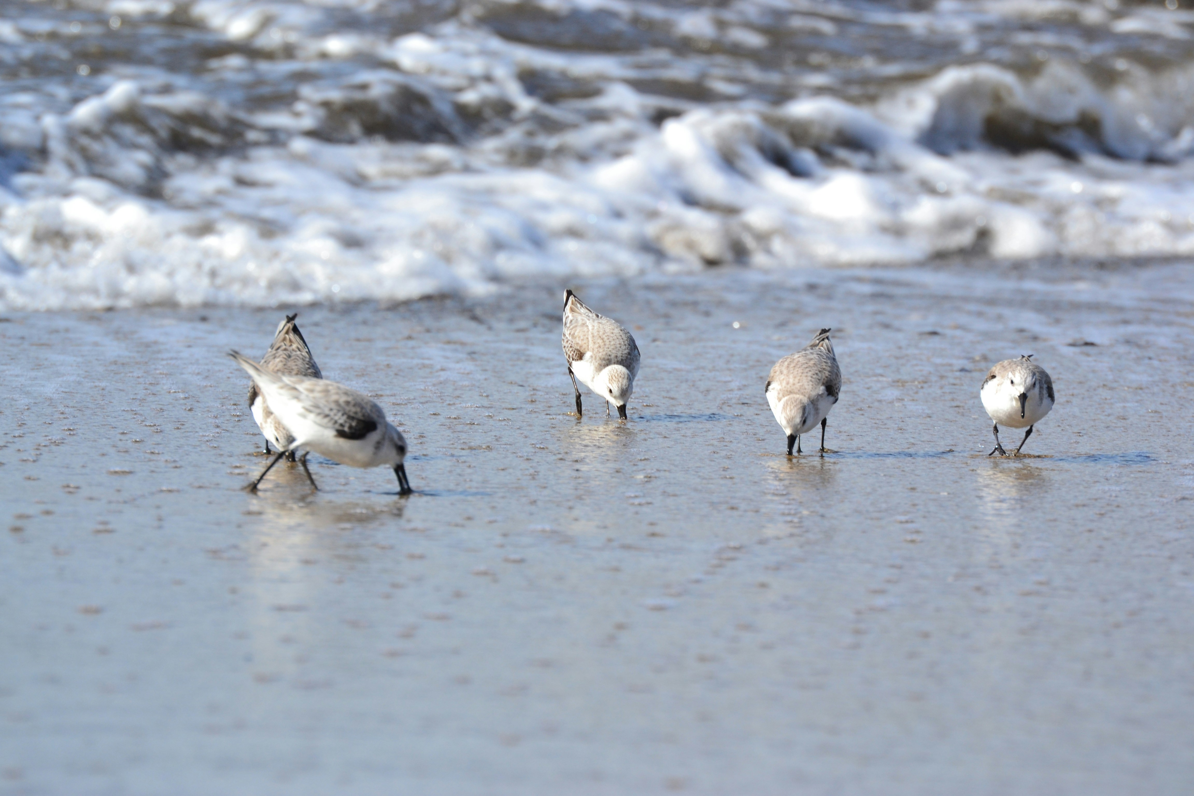 Photo by lindsayforester6