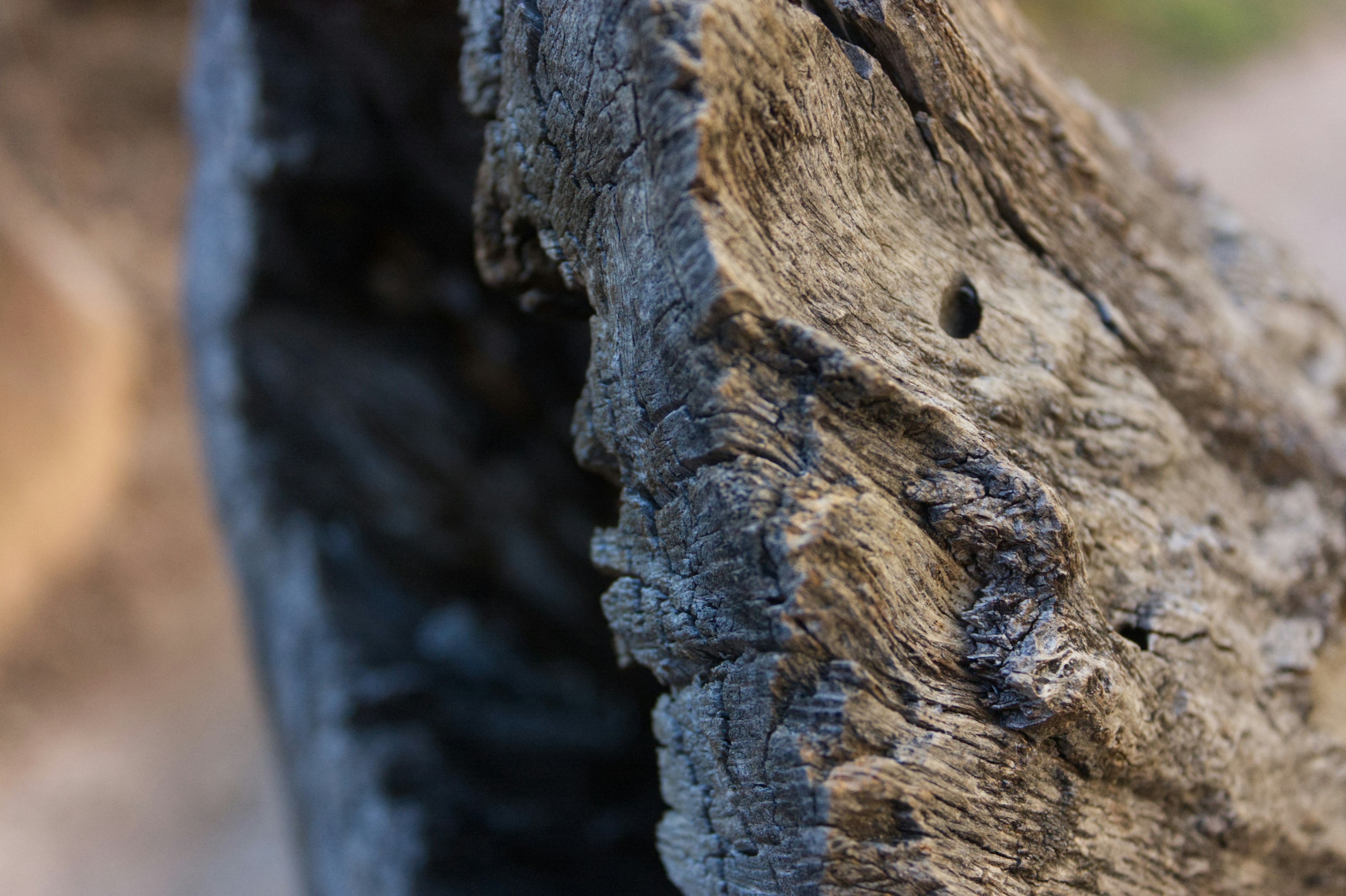 Photo by sforlphotography