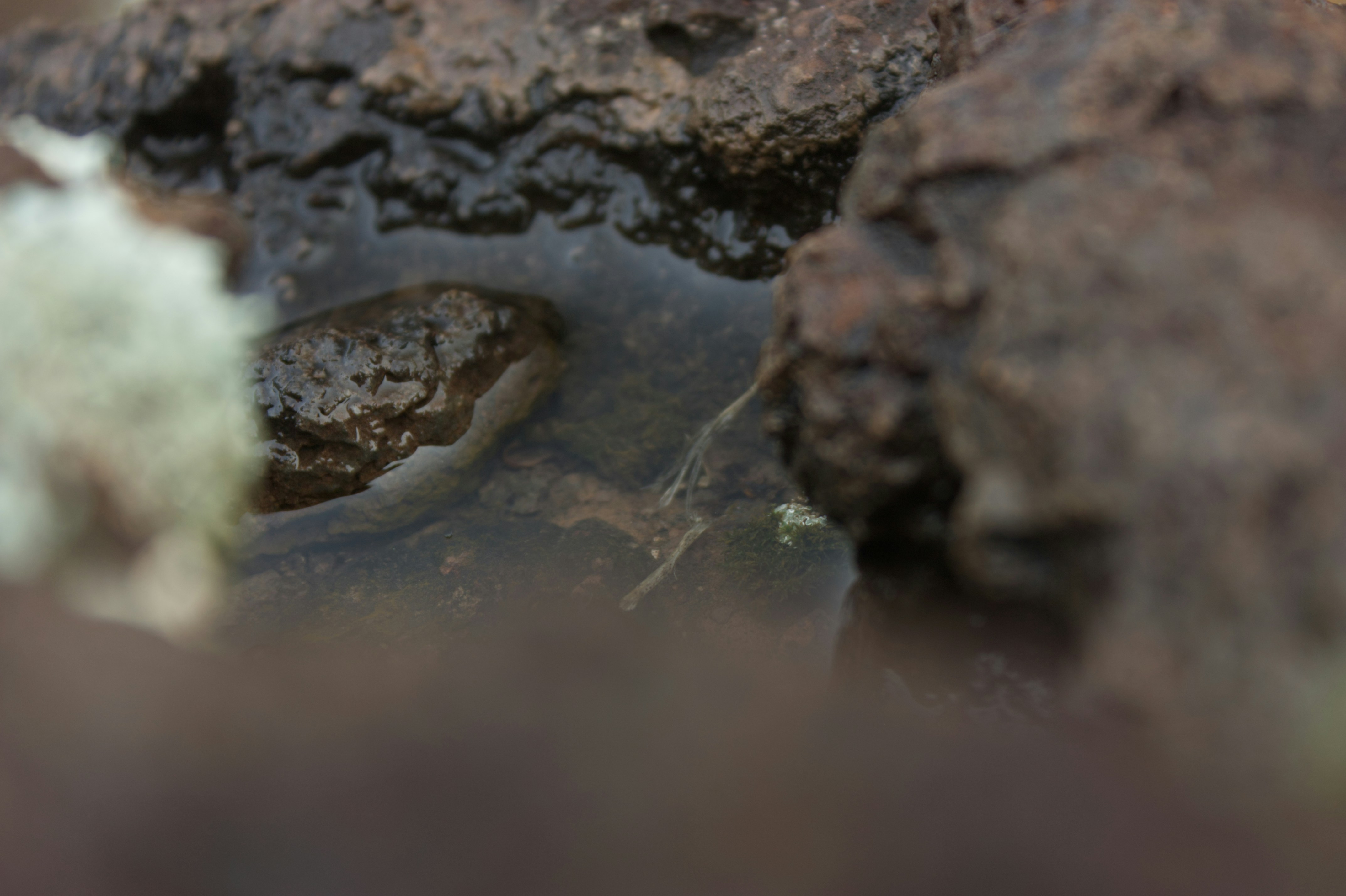 Photo by sforlphotography