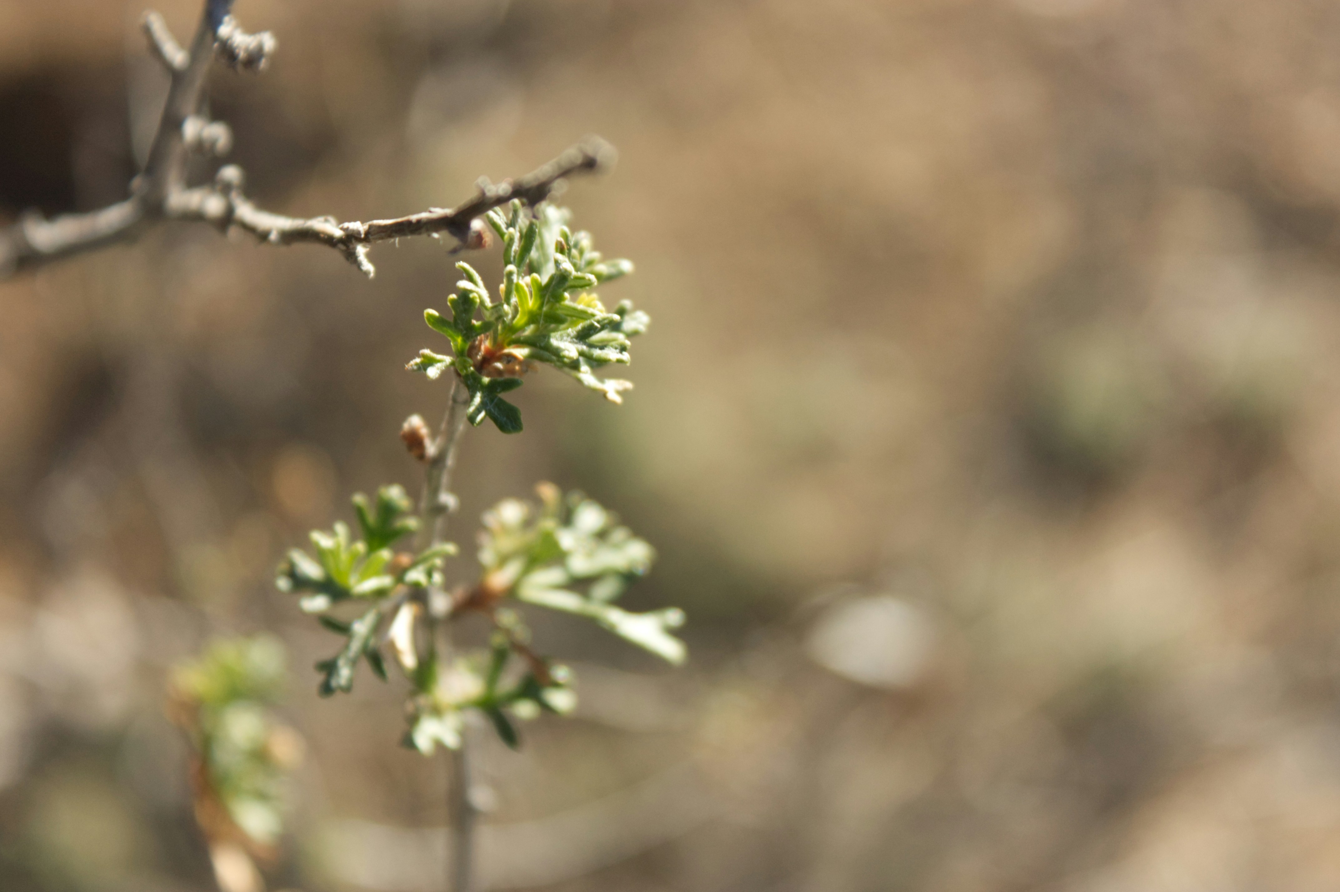 Photo by sforlphotography