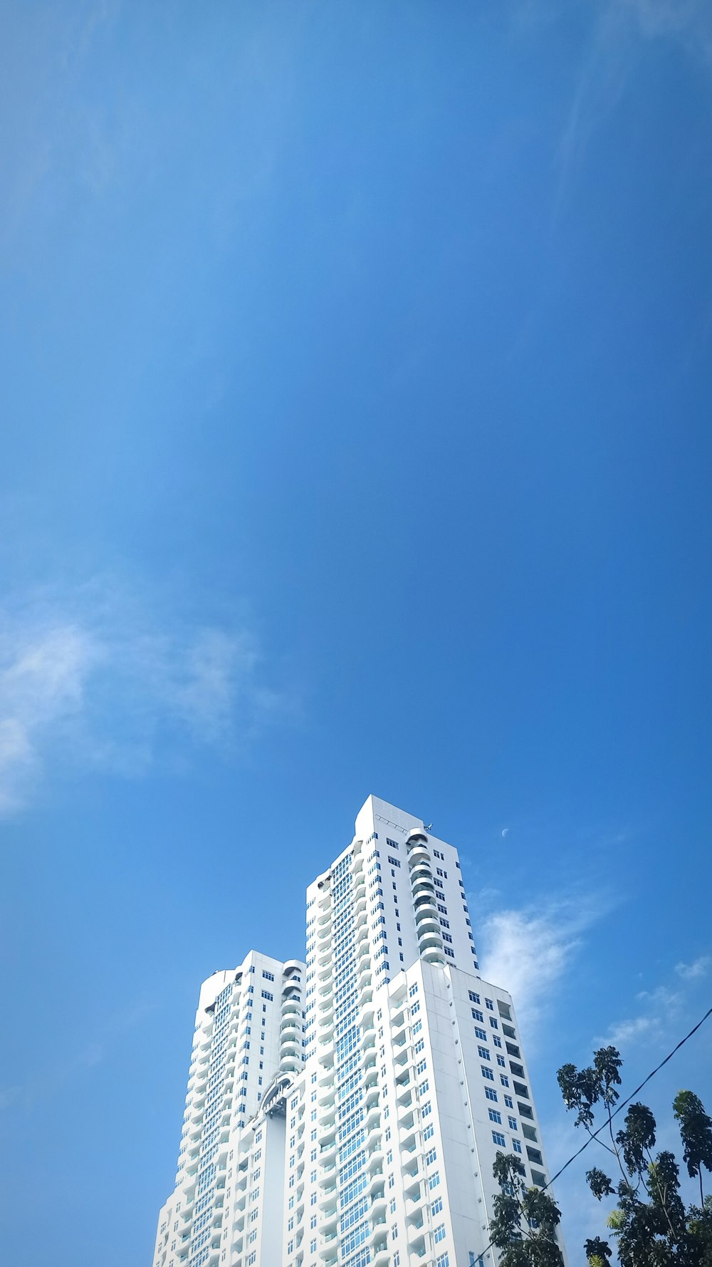 a tall white building sitting next to a lush green forest