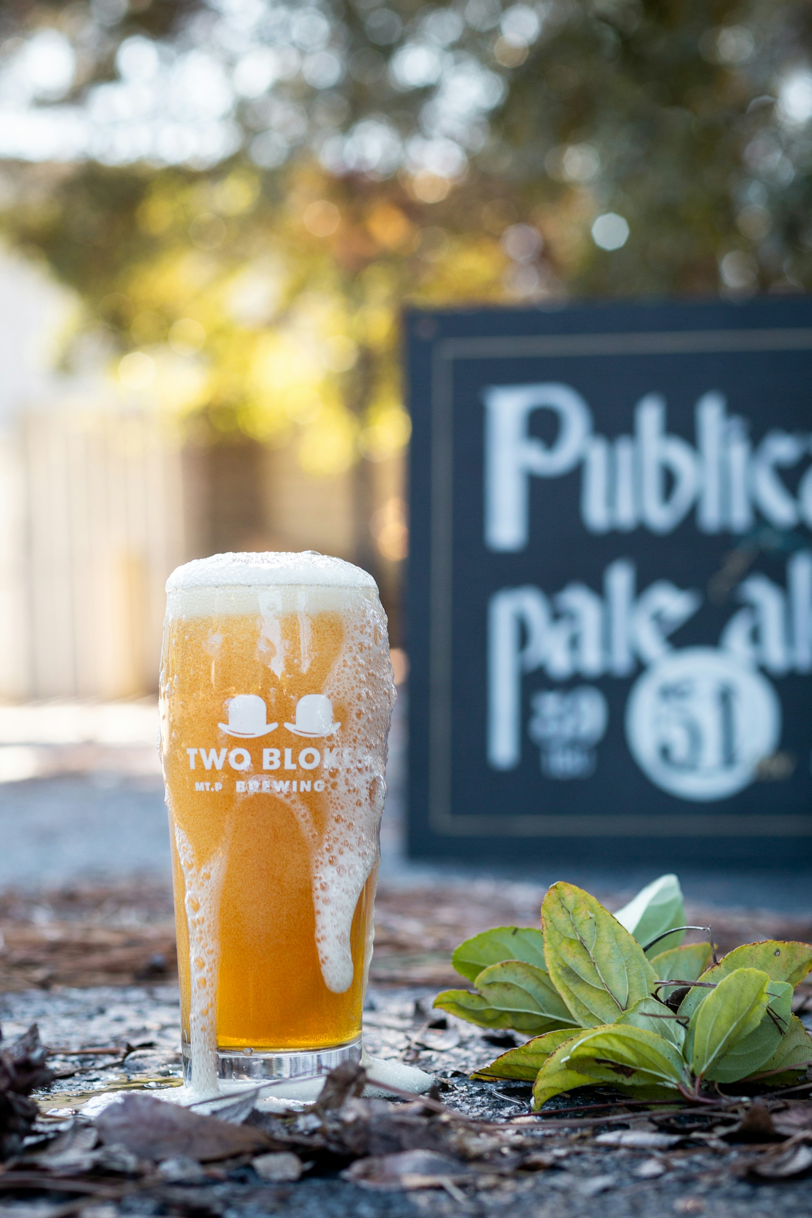 A glass of beer sitting on top of a table photo – Free Charleston Image ...