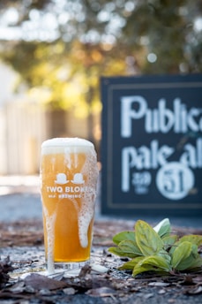 A frothy glass of beer sits outdoors on a rocky surface. The glass is overflowing with foam and bears the logo 'Two Blokes Brewing'. In the background, there is a chalkboard sign that reads 'Public Pale Ale'. Leaves are scattered around the glass, and soft sunlight filters through trees, creating a warm, inviting atmosphere.