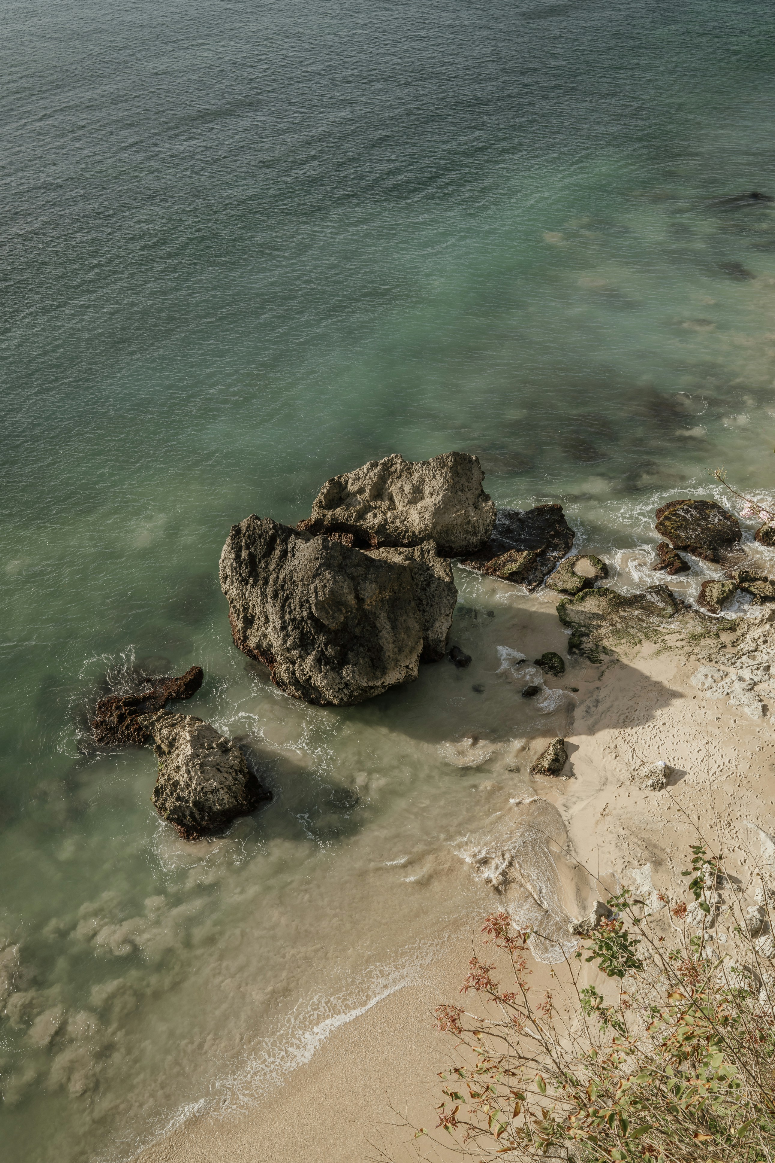 Photo by nerissa_j_photography