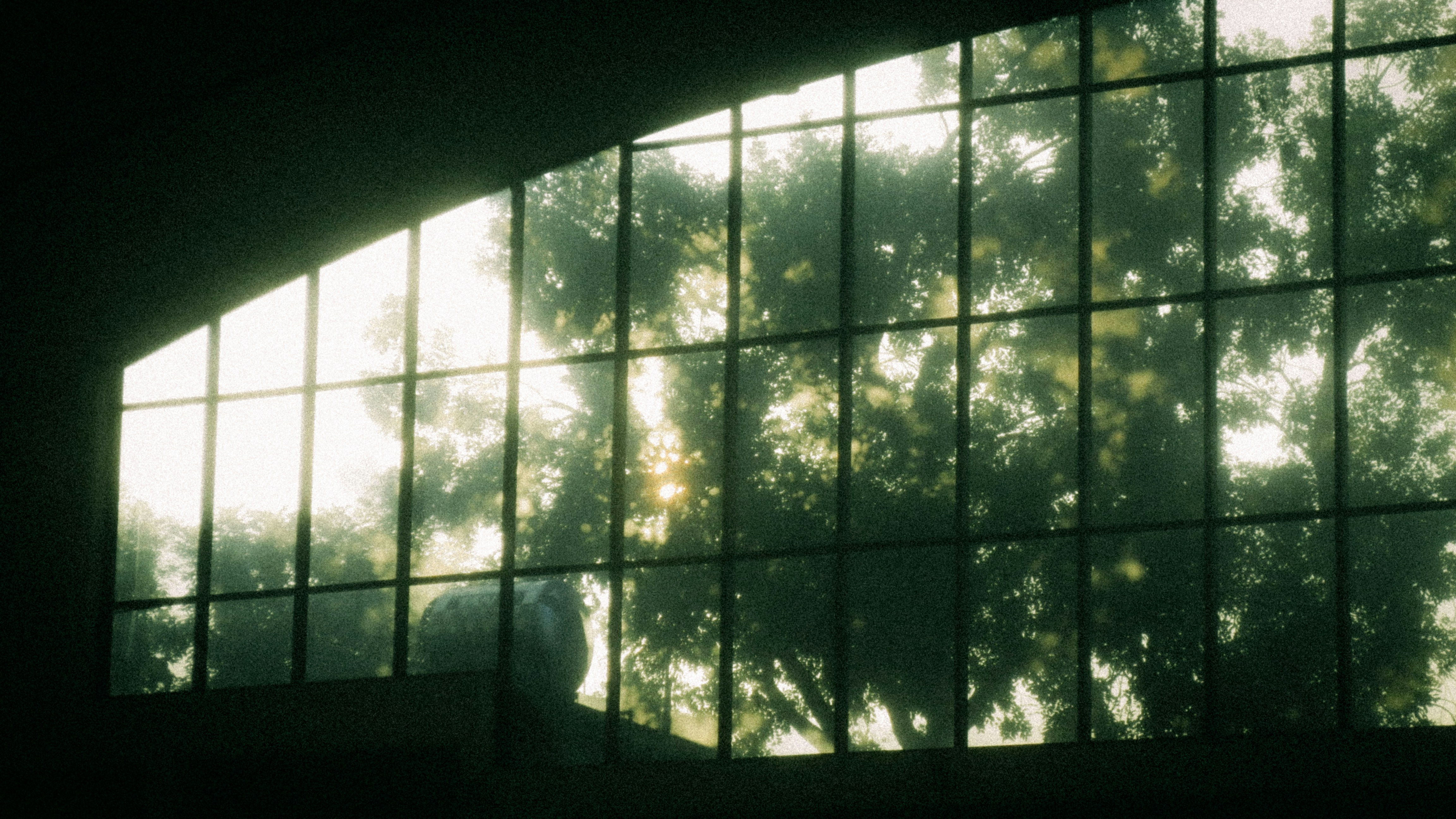 Photo by dying_apricity