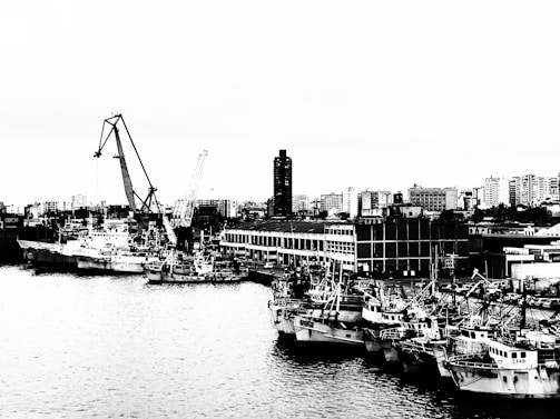 A bustling industrial port area with several ships docked along the water. Cranes tower over the ships, loading or unloading cargo. In the background, a dense urban skyline with numerous high-rise buildings provides a stark contrast to the busy port activity.