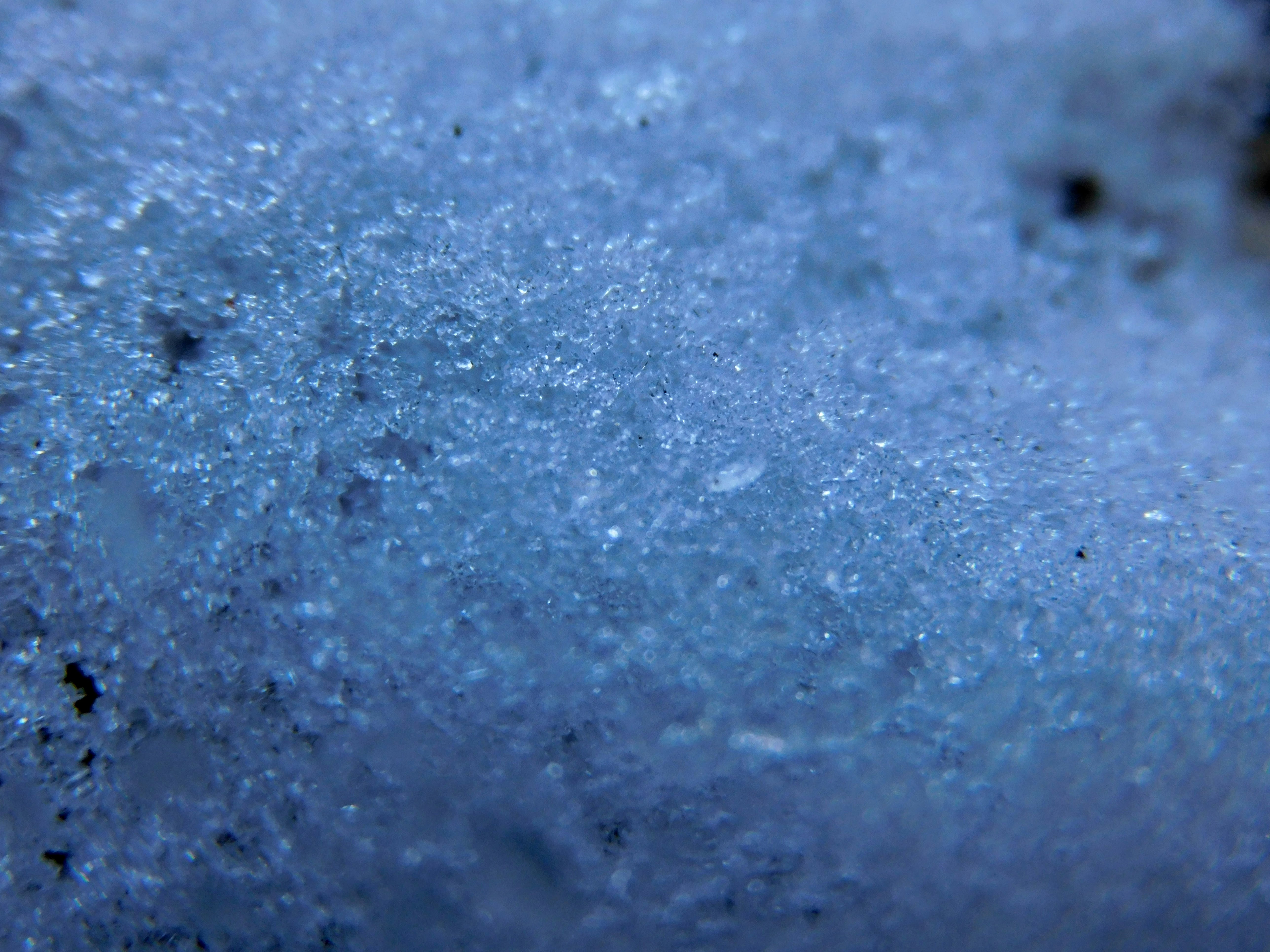 Photo by prphotography262