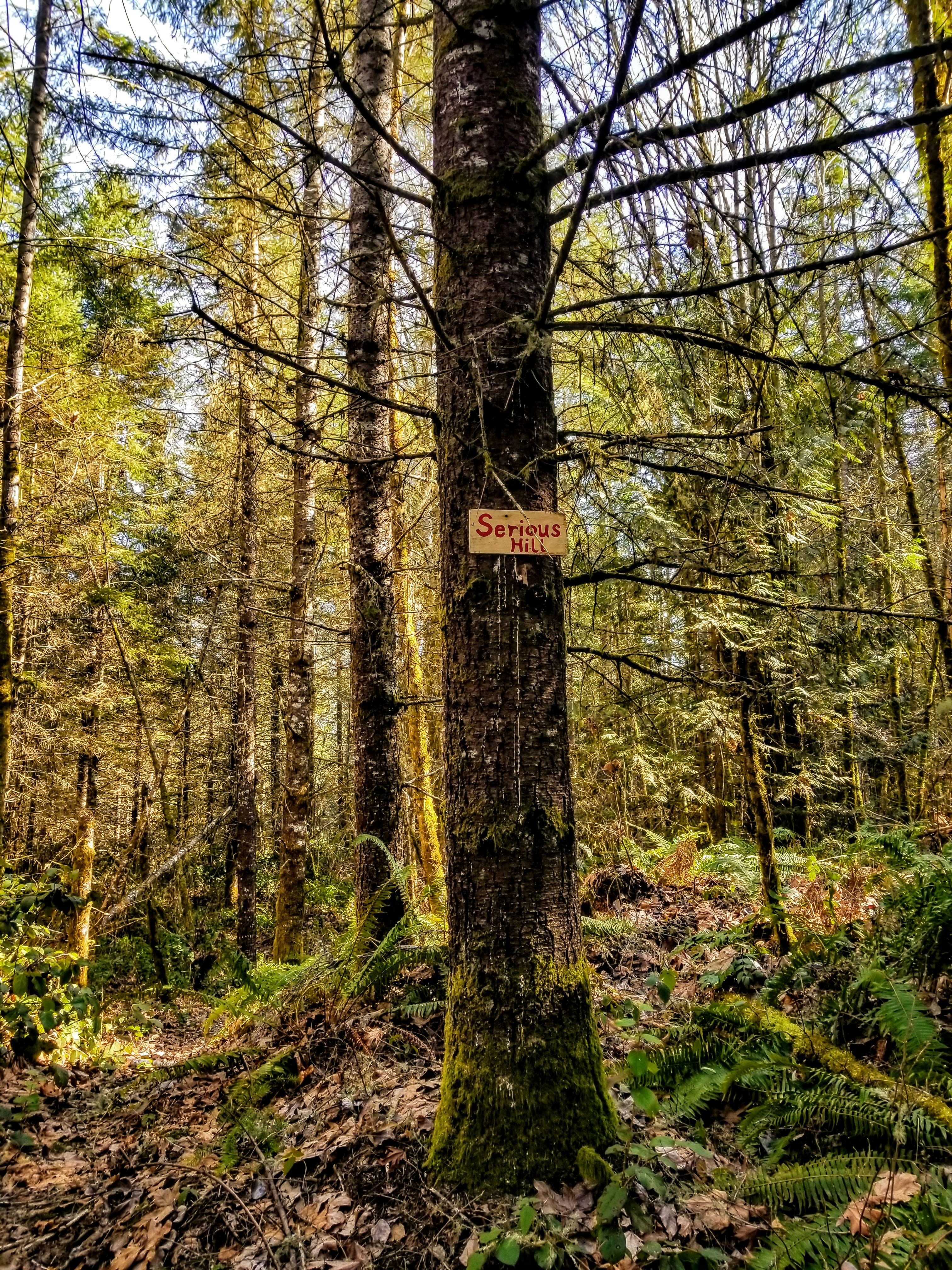 Photo by prphotography262