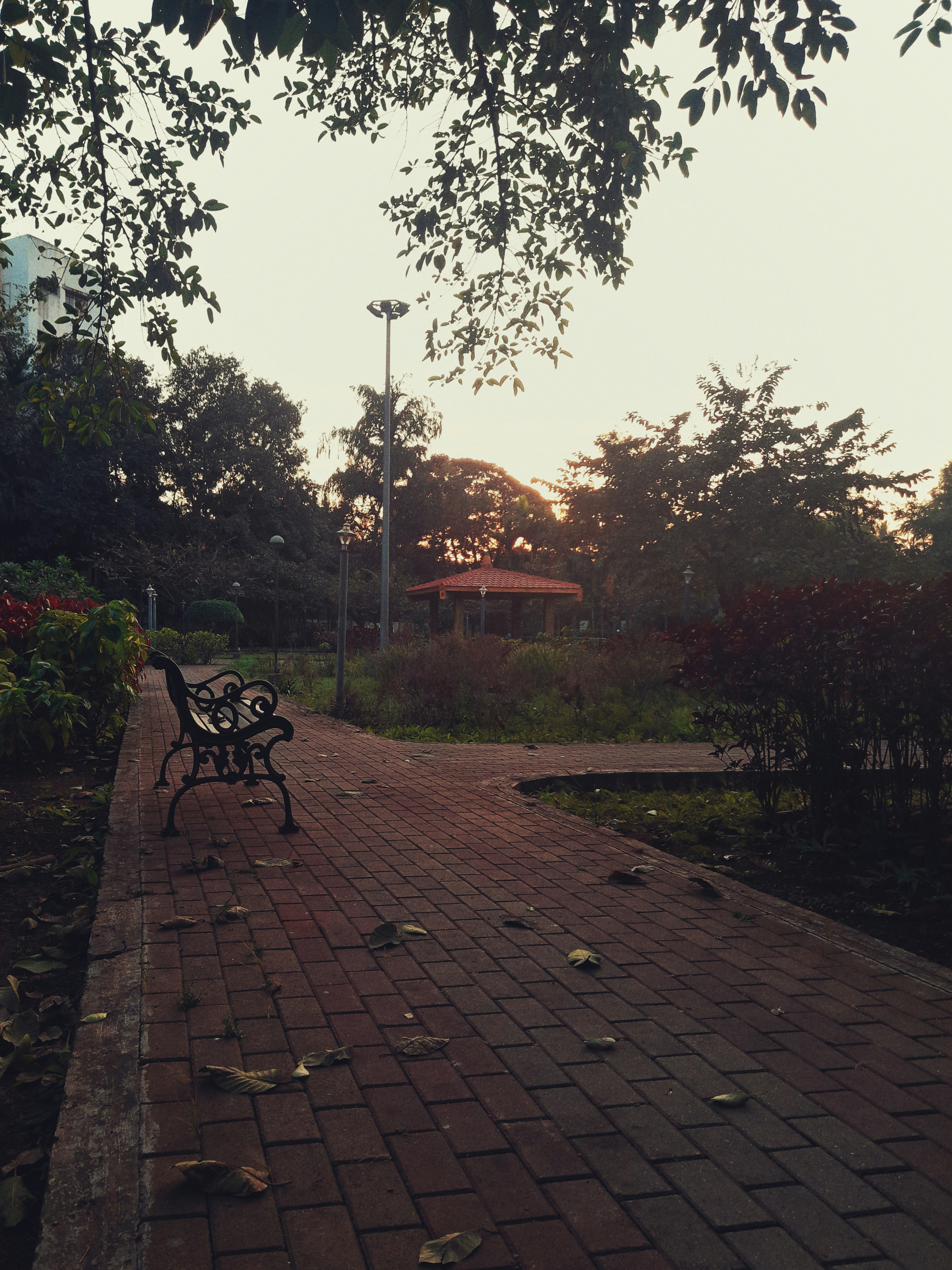 Empty park bench at dusk, long shadows across empty path, single pigeon, melancholic peaceful atmosphere
