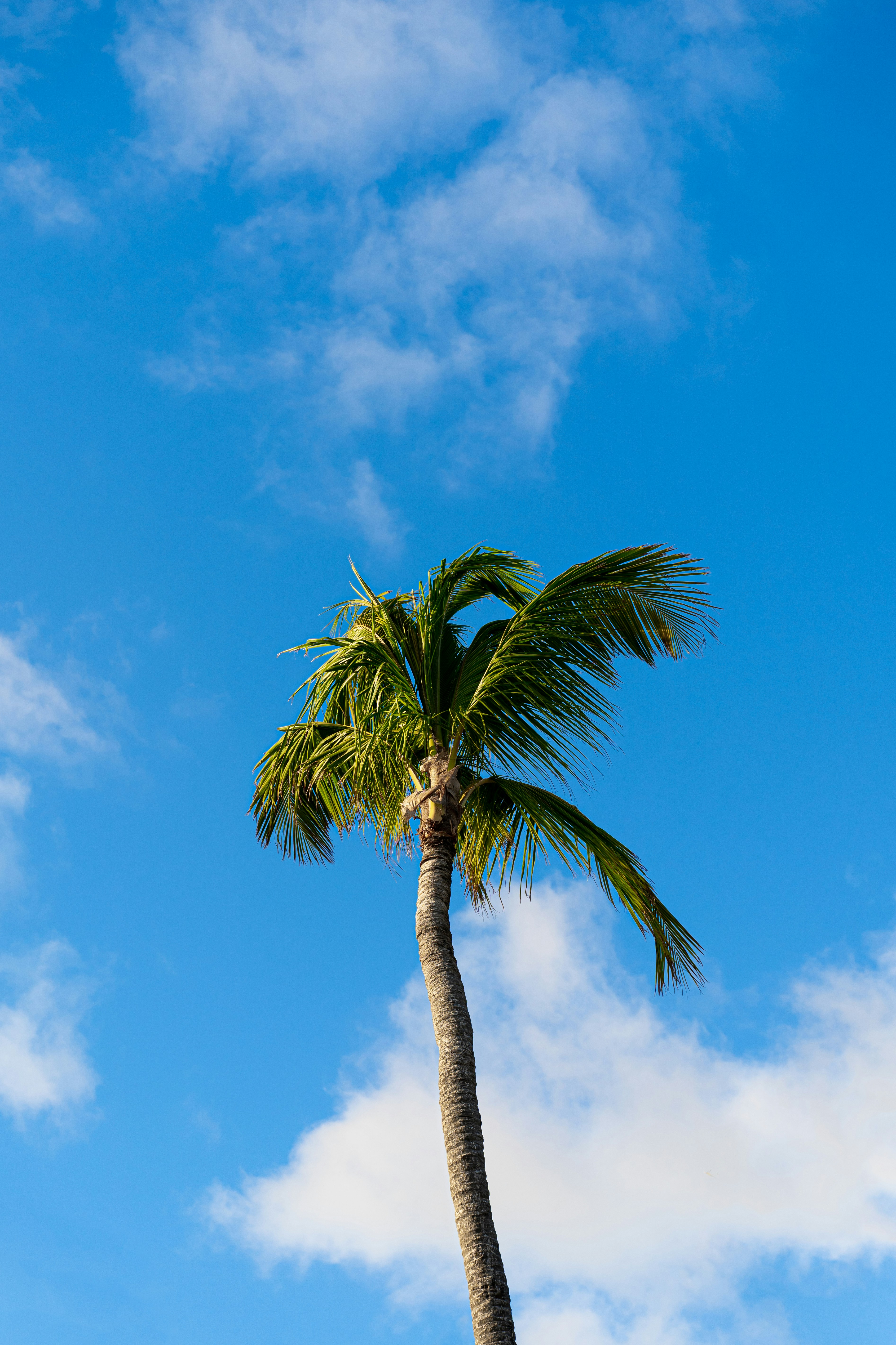 Photo by tandemxvisuals