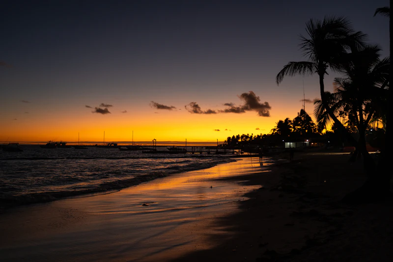 Palm trees and a calm beach glowing orange at sunset in Punta Cana, Dominican Republic