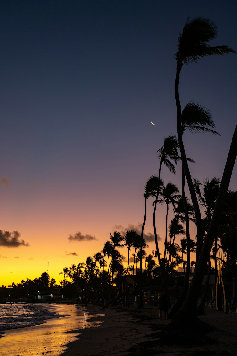 a sunset on a beach with palm trees