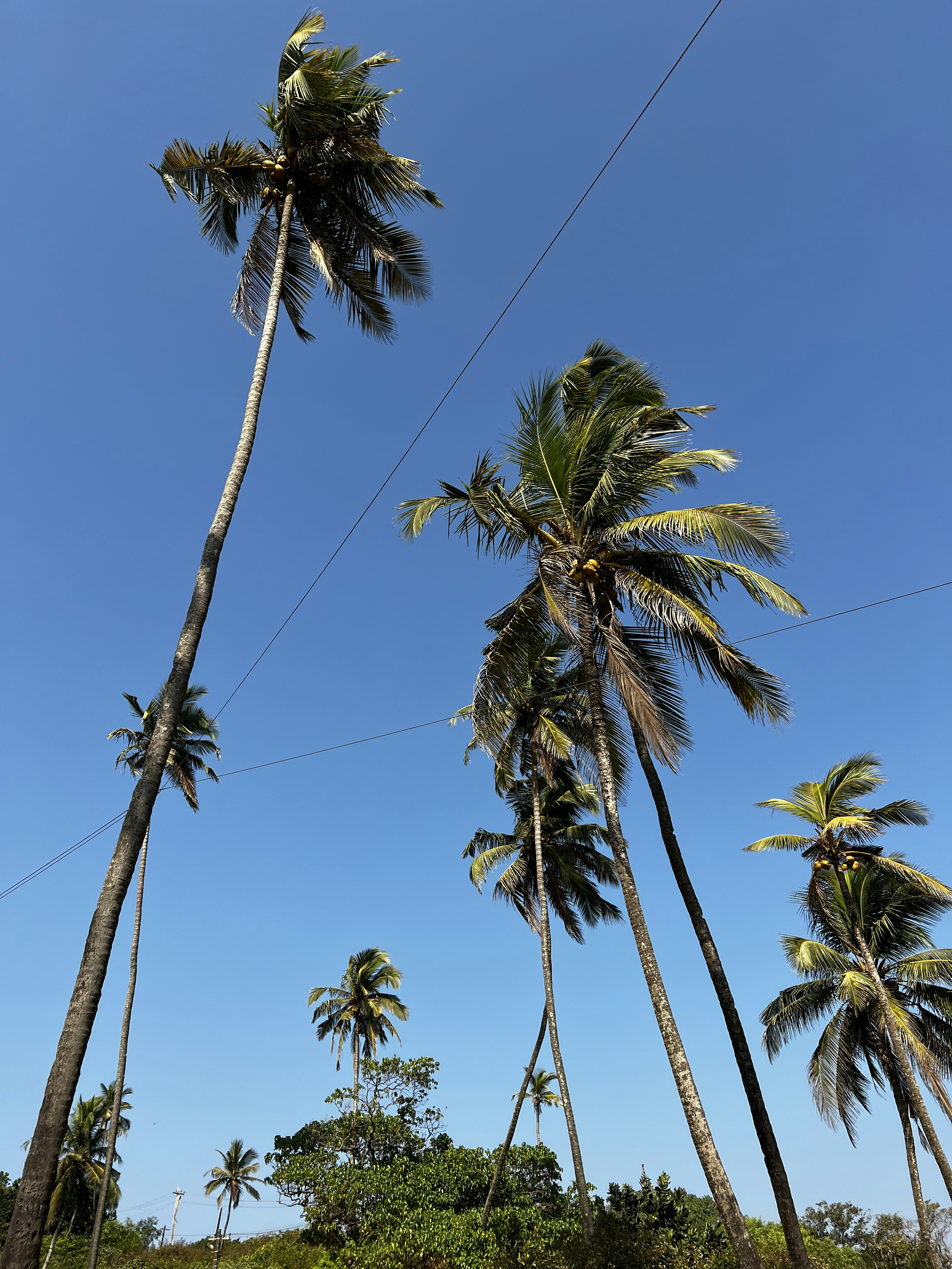 A stylish summer party outfit
